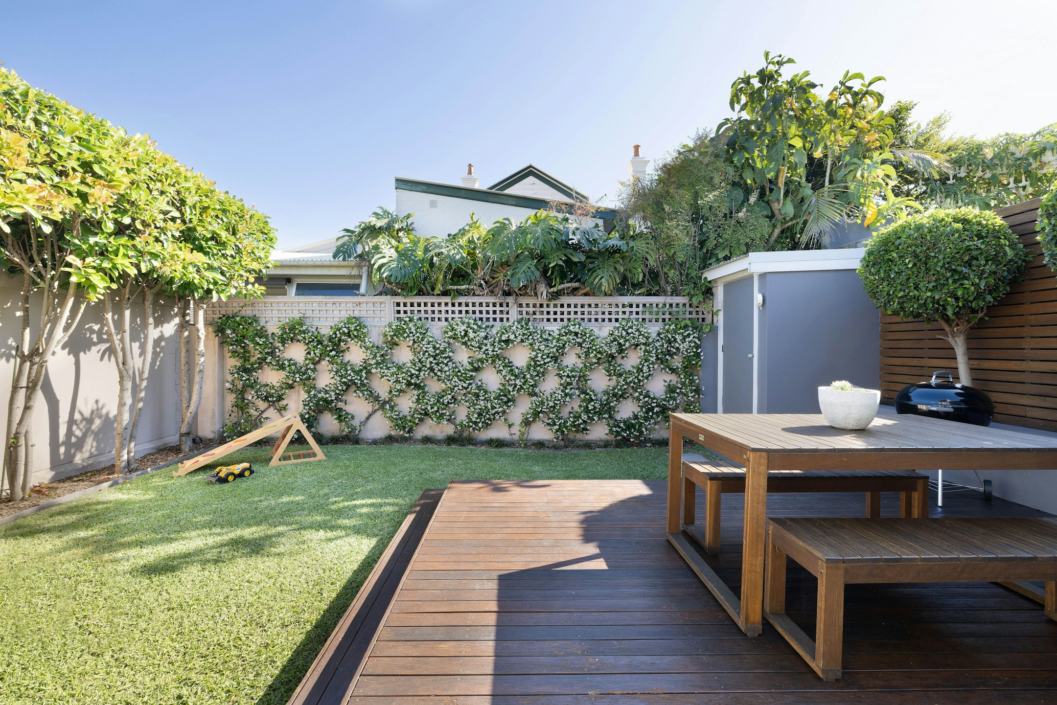 backyard