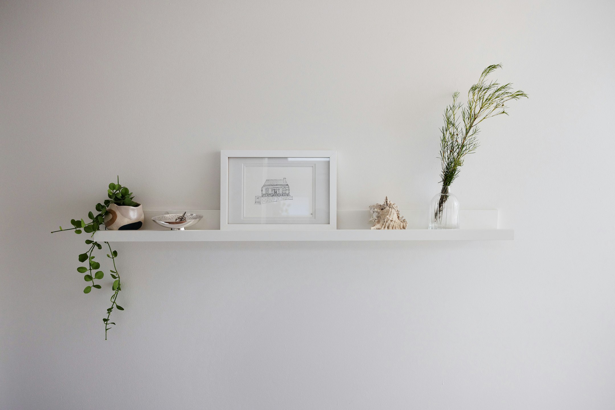 shelf