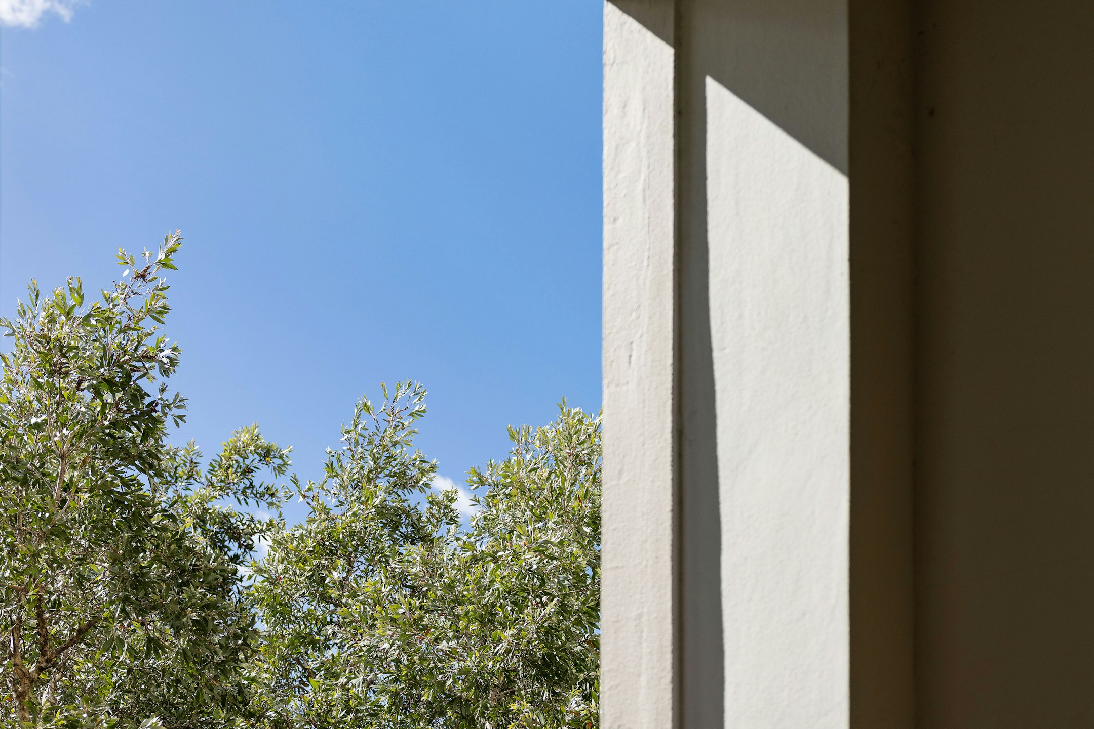 architecture