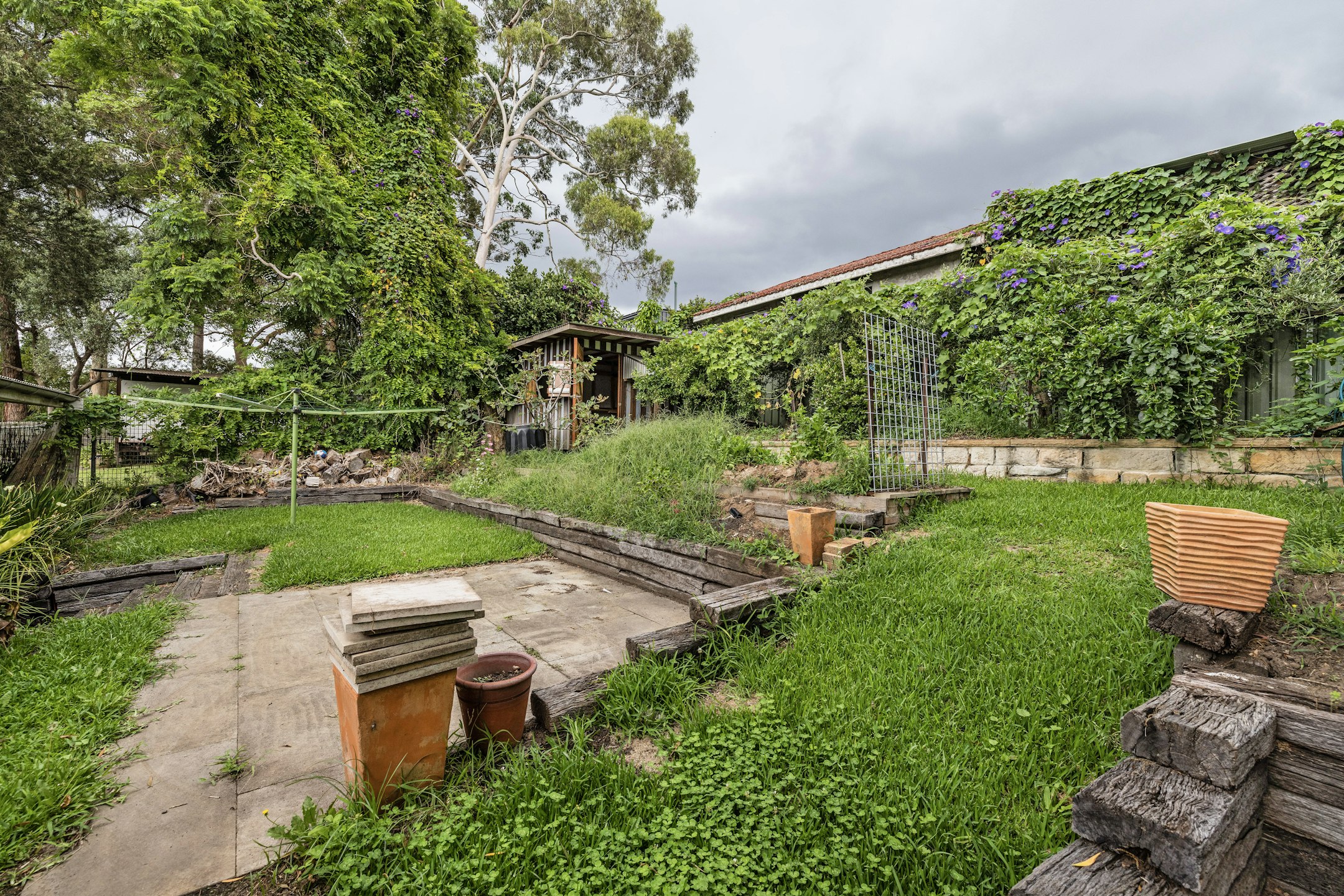 backyard