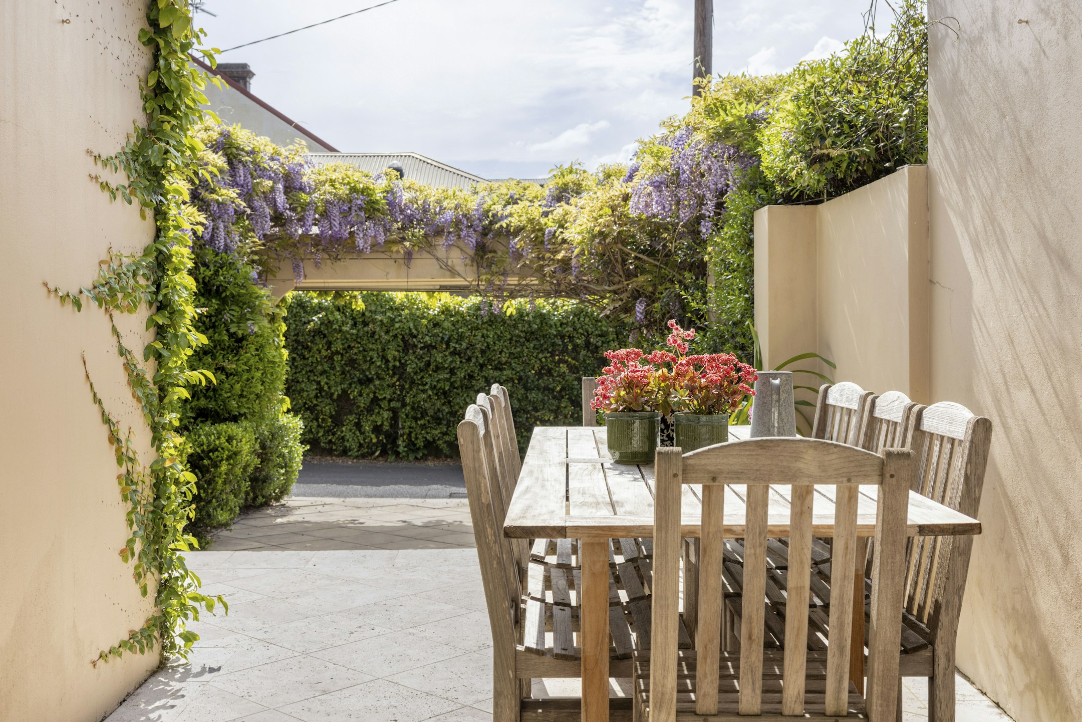 garden