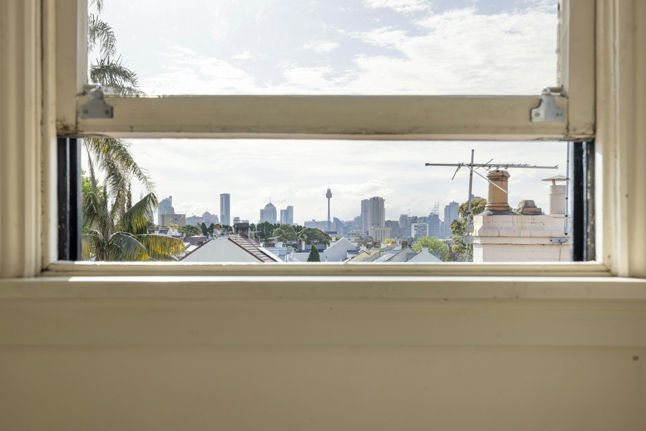 window