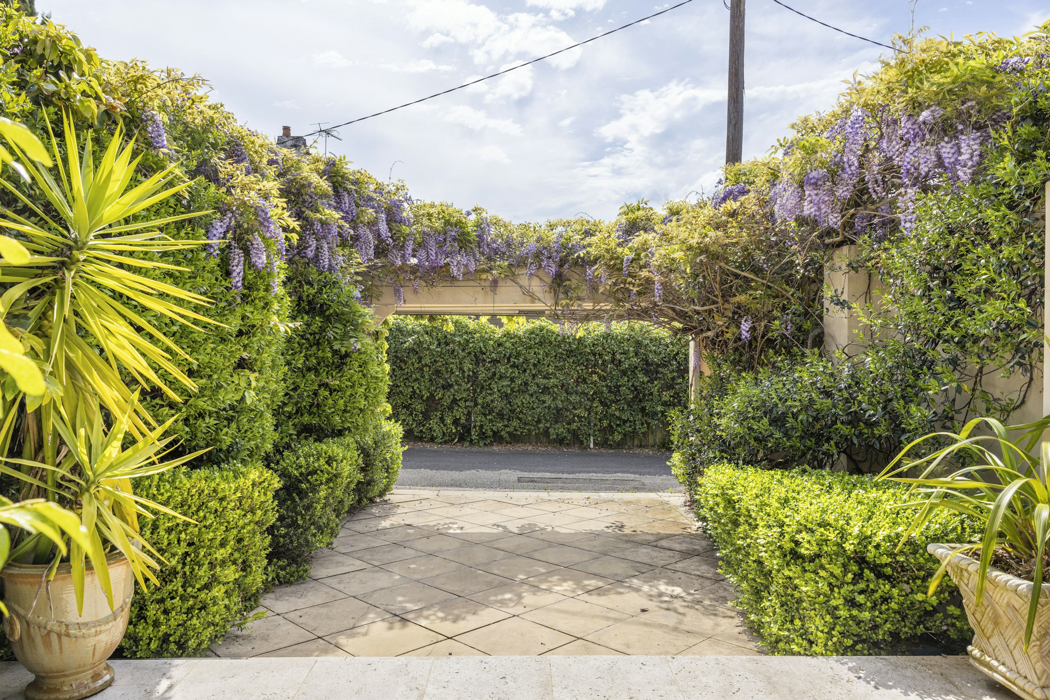 garden