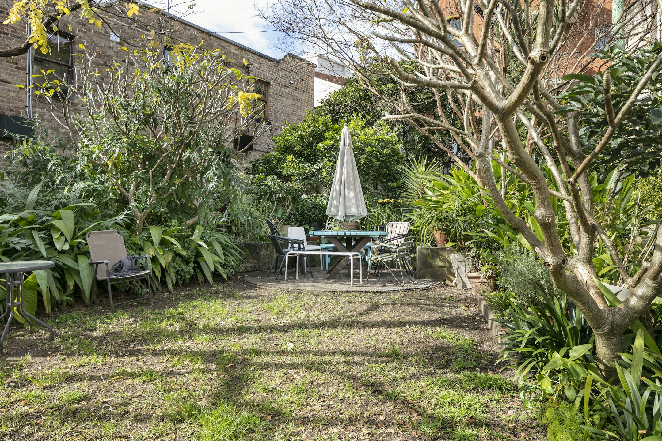 garden