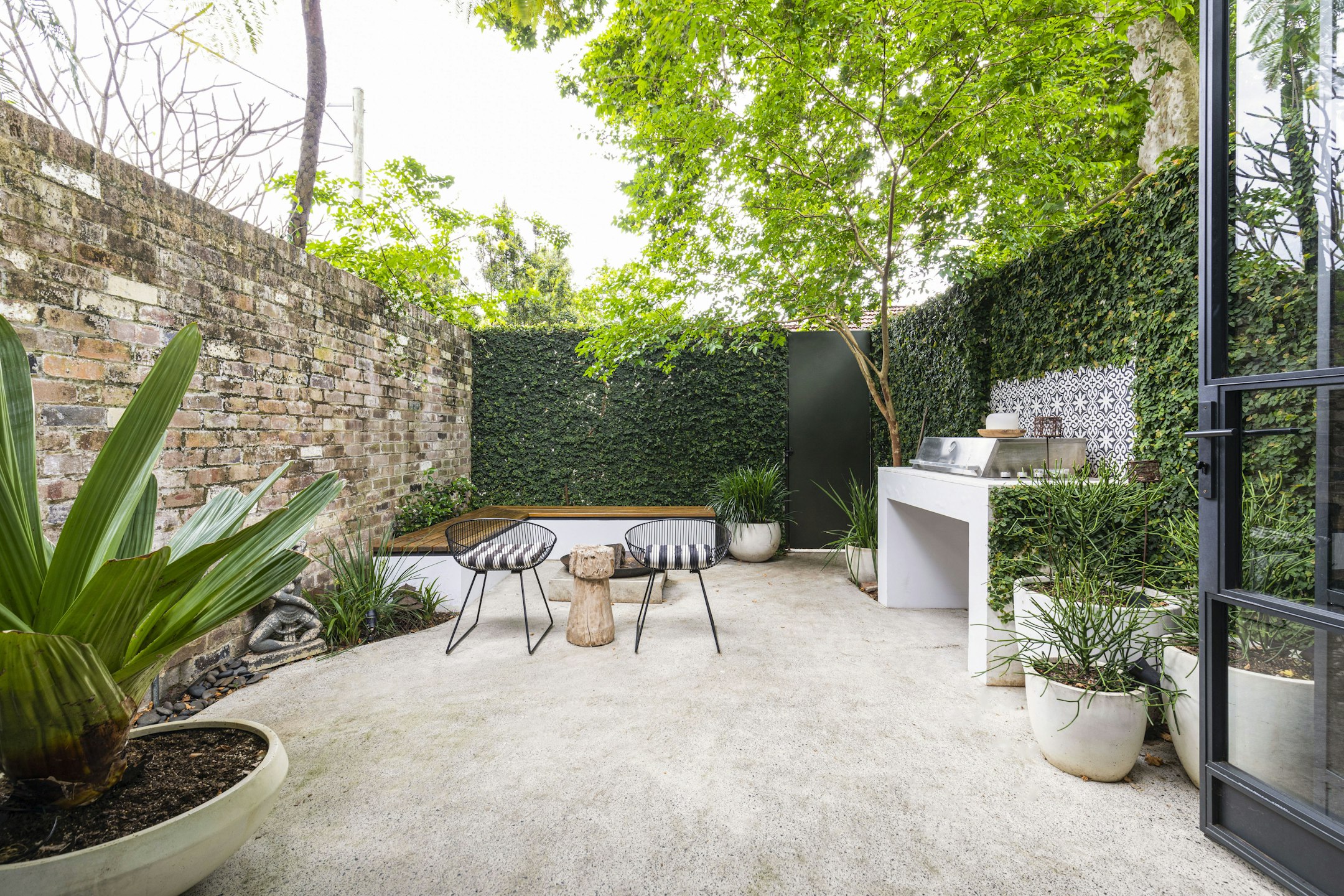 backyard