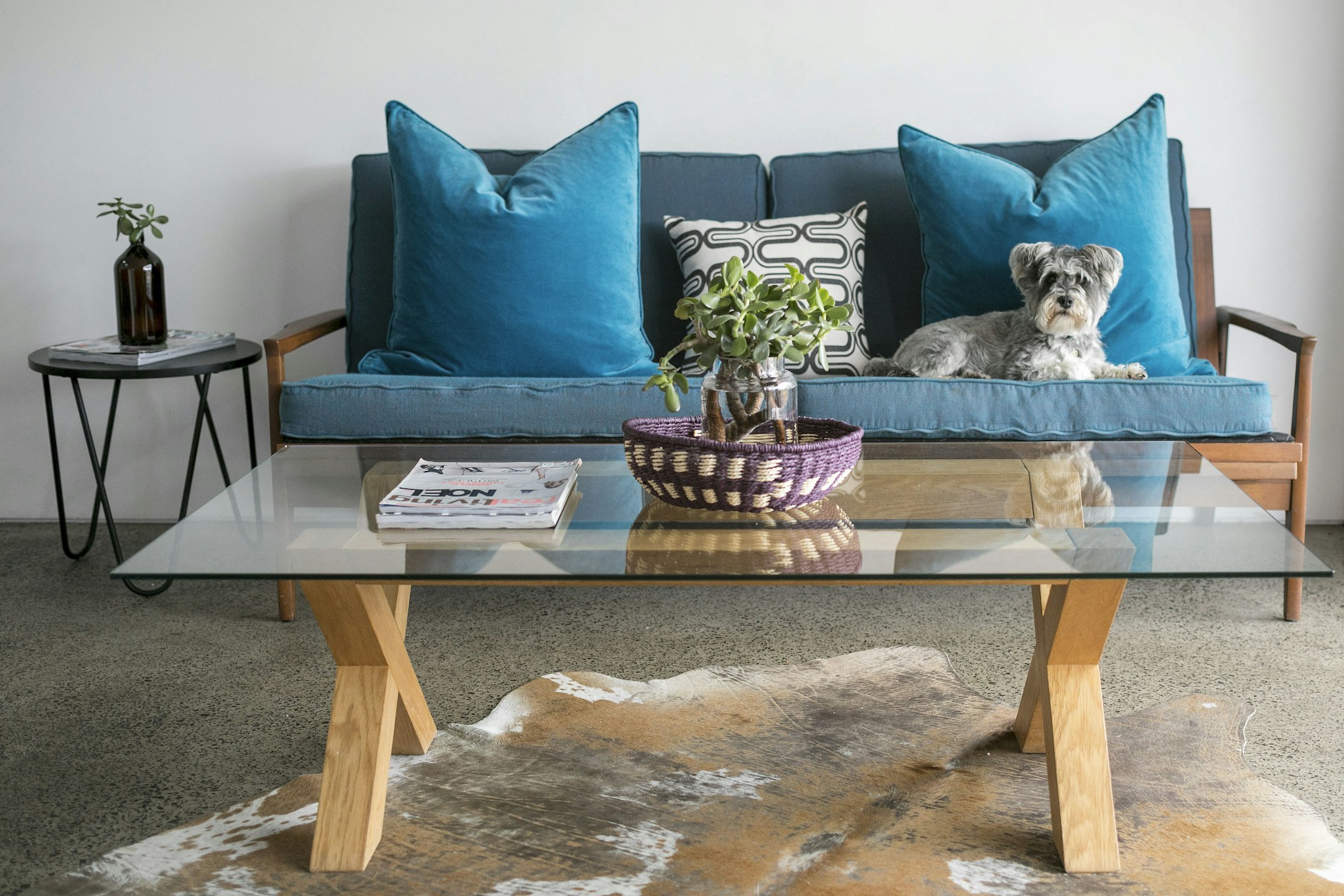 furniture
