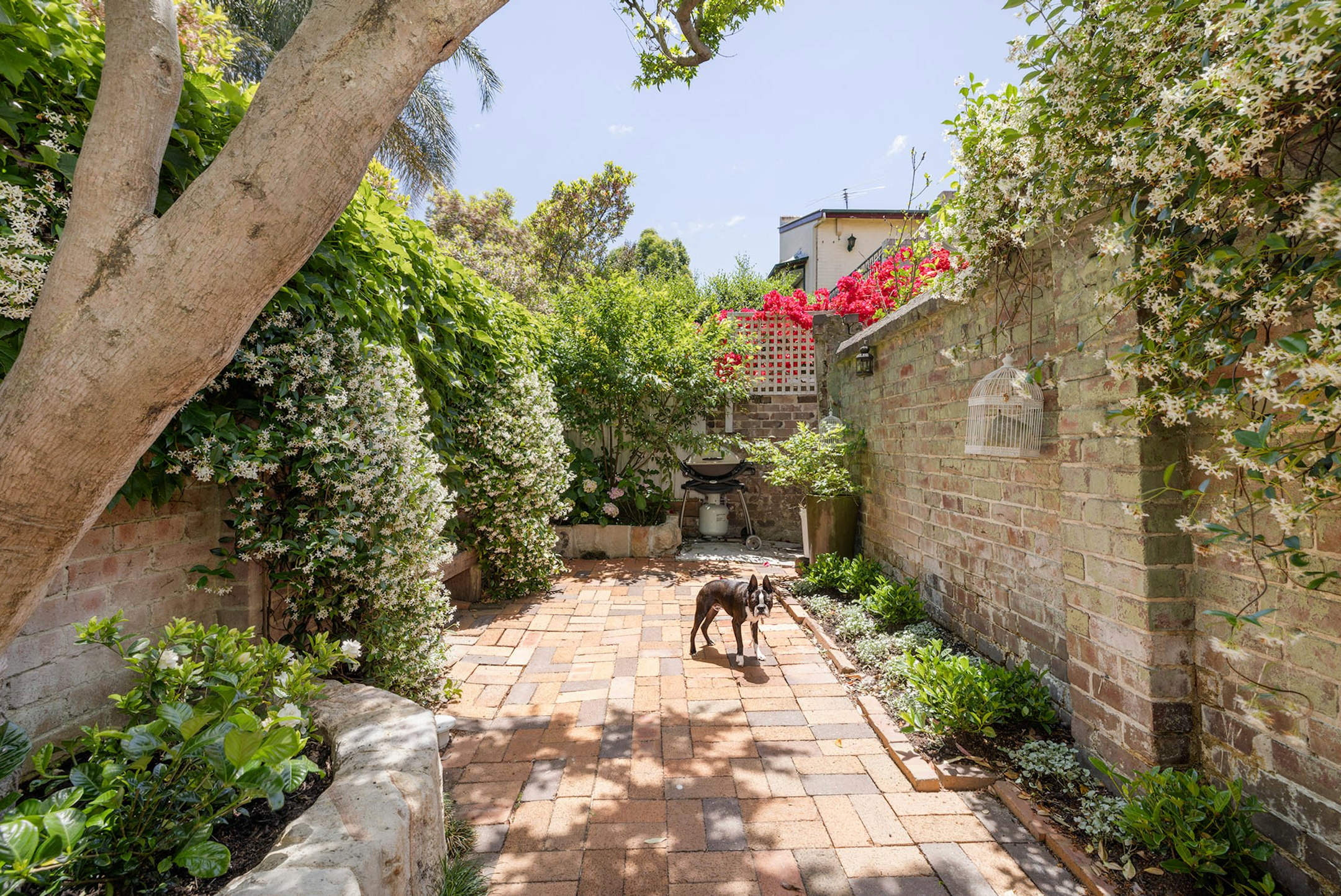 flagstone