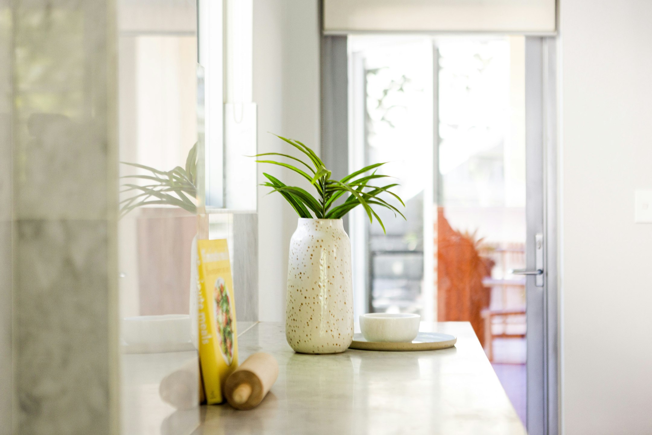 plant