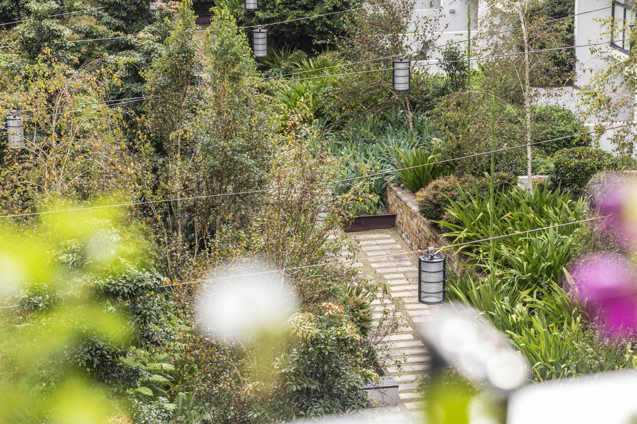 garden