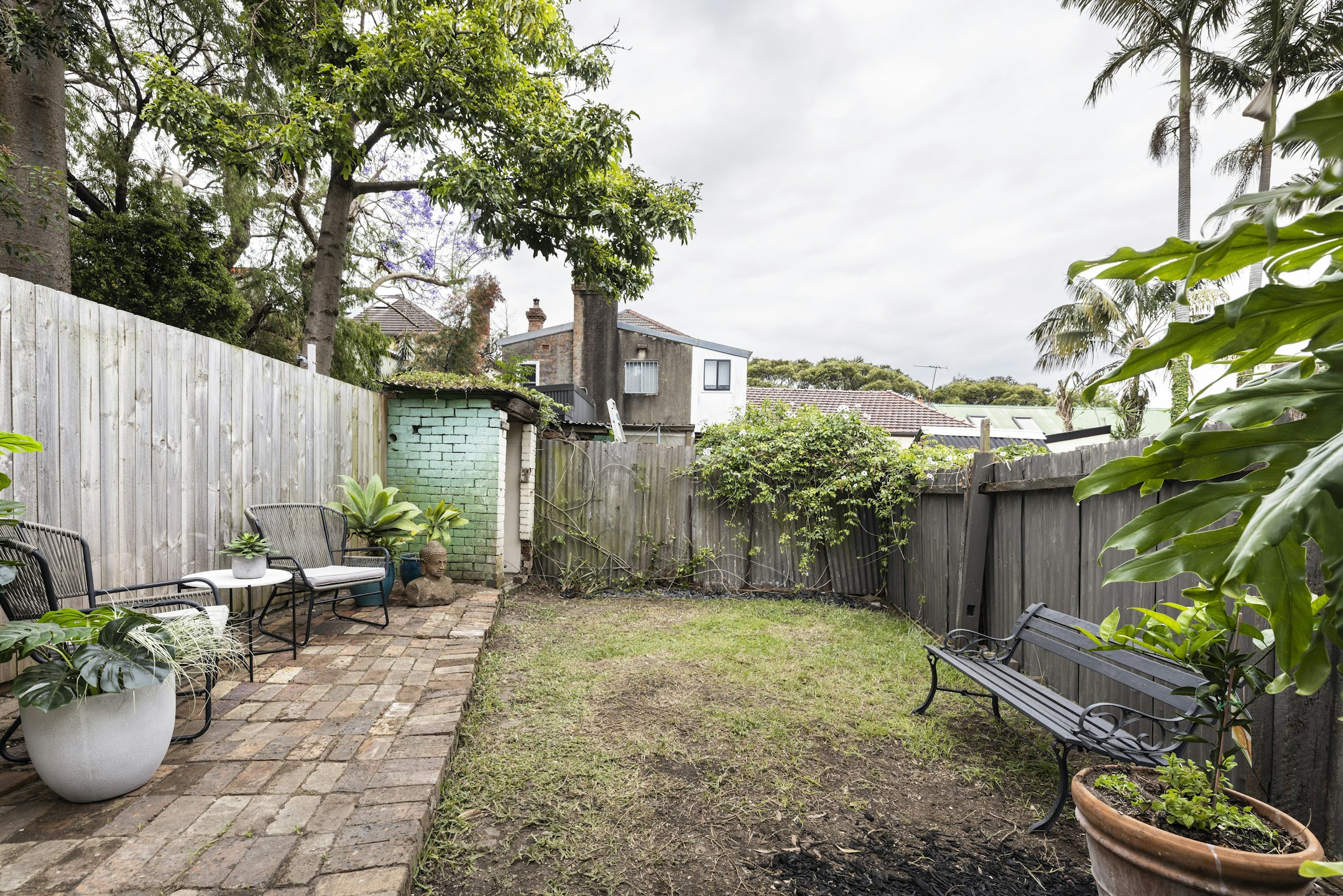 backyard
