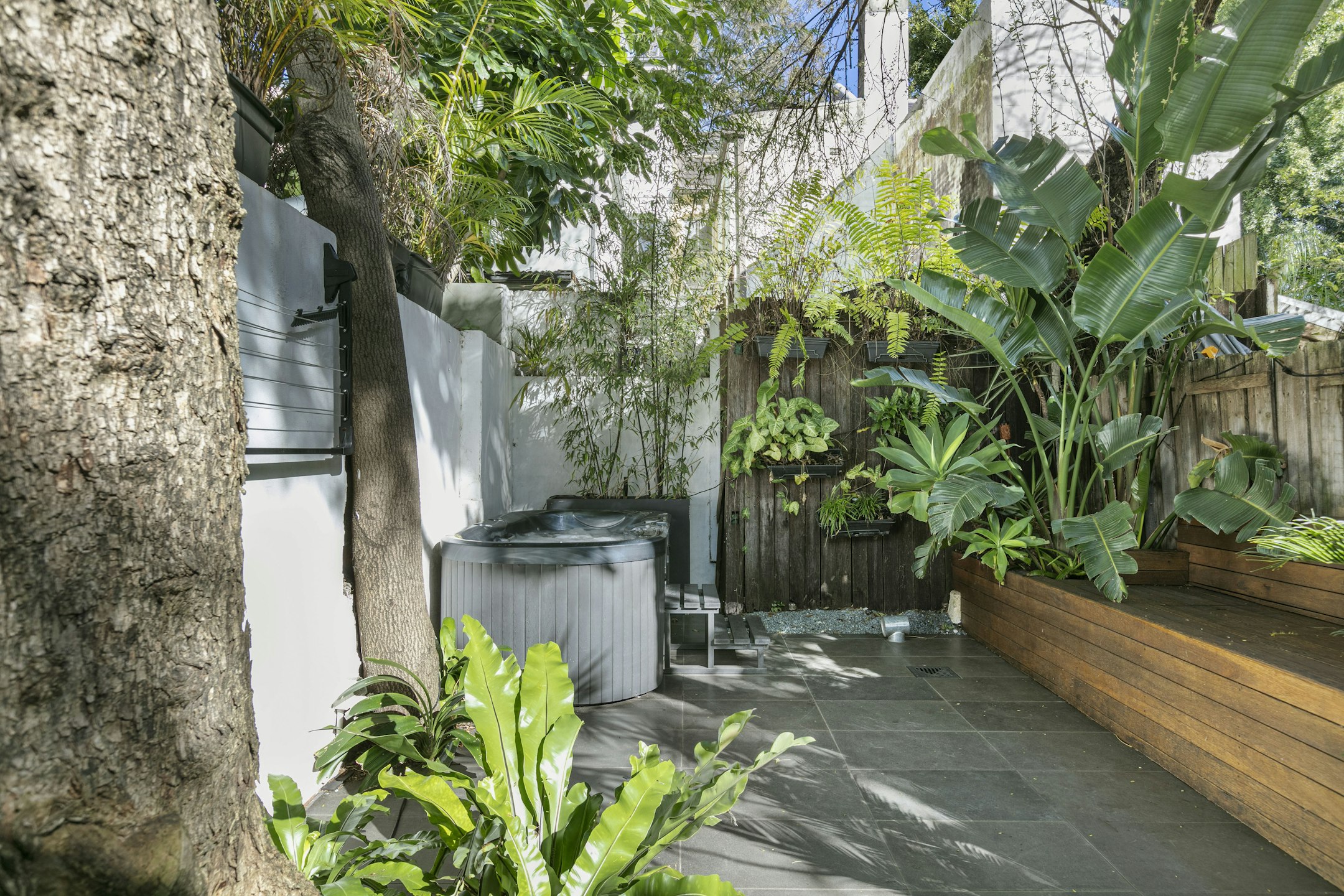 garden