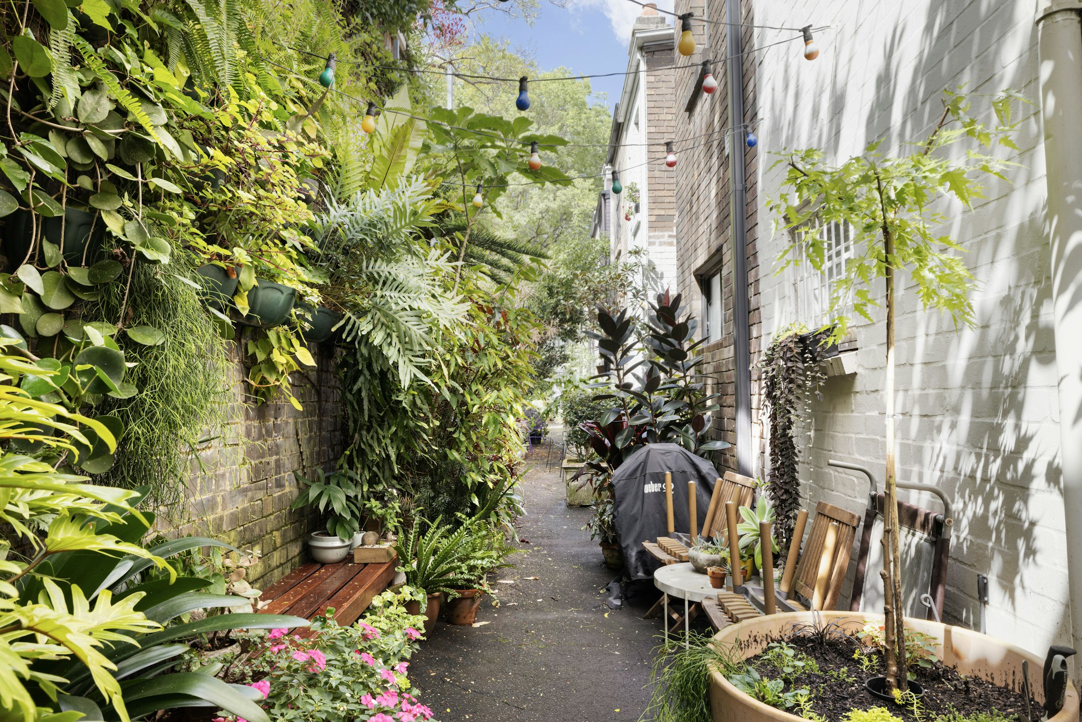 garden