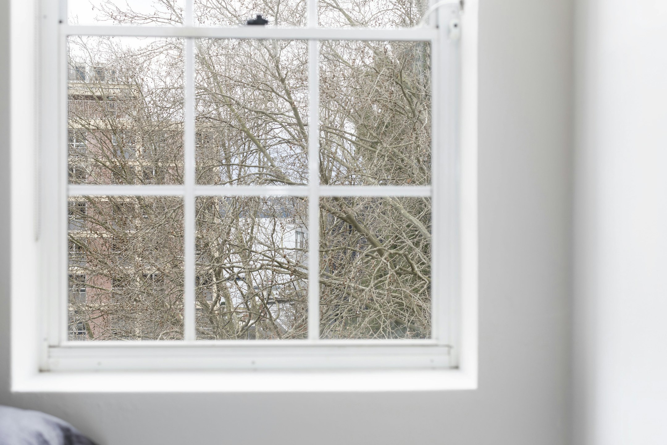 window