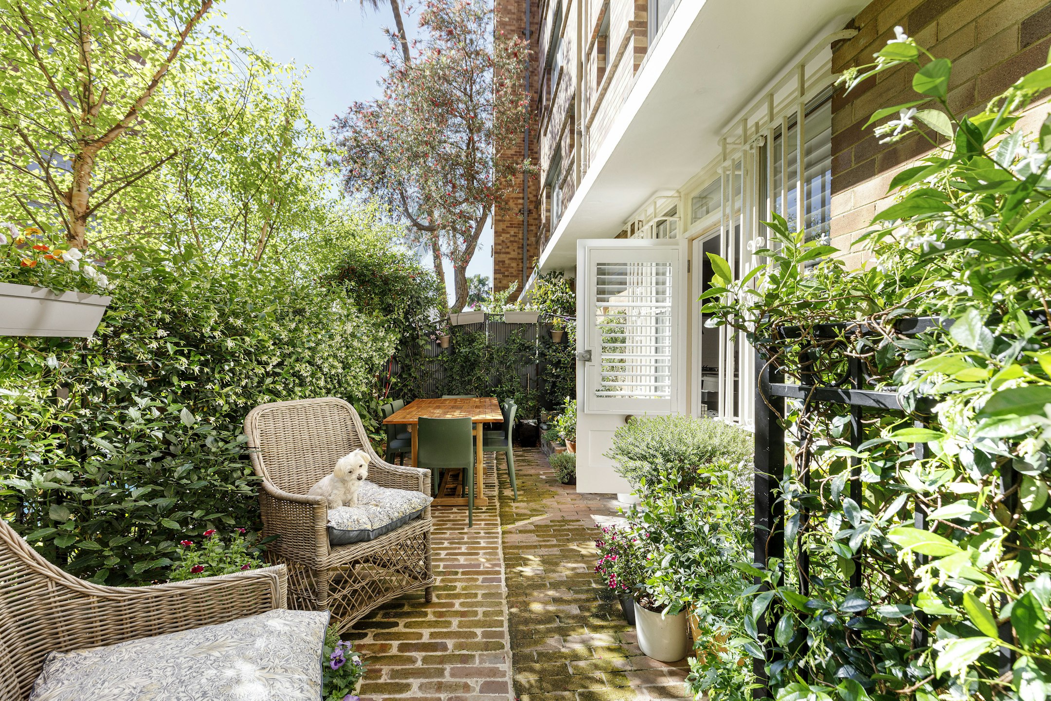 garden