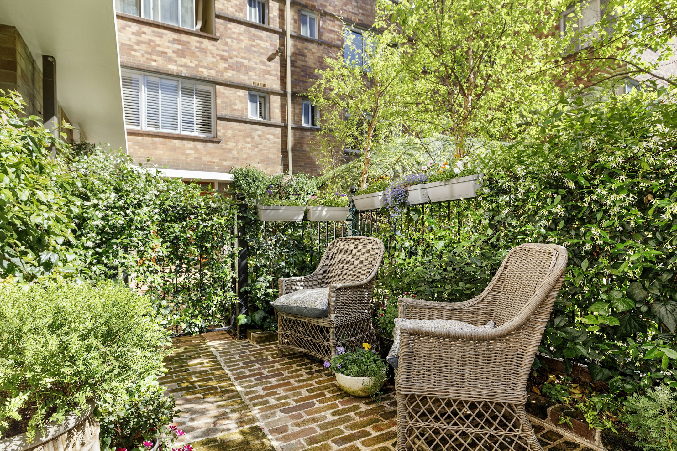 garden