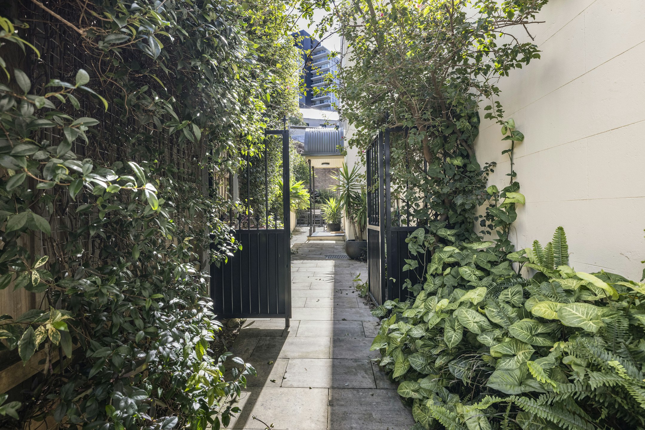 garden