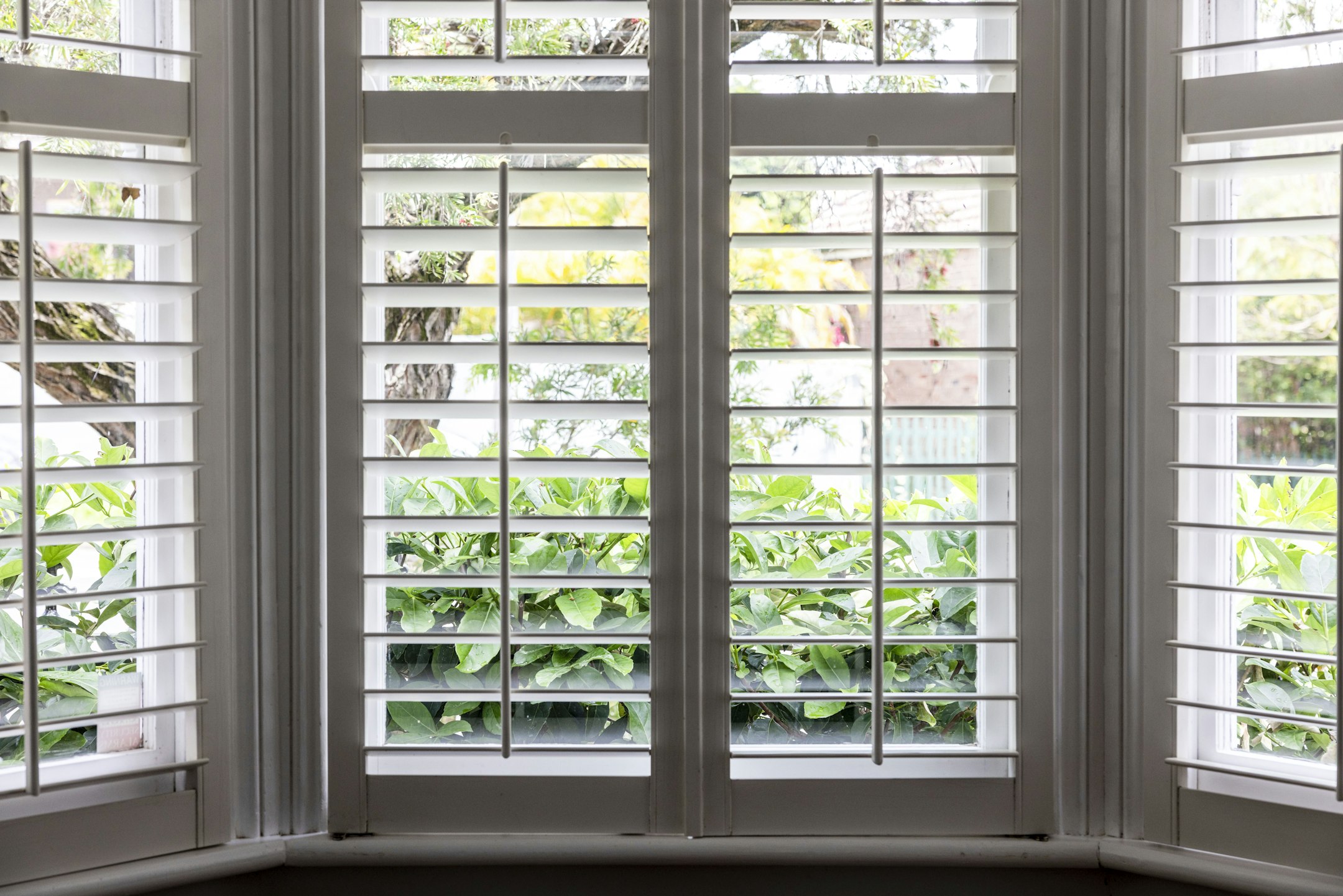 window
