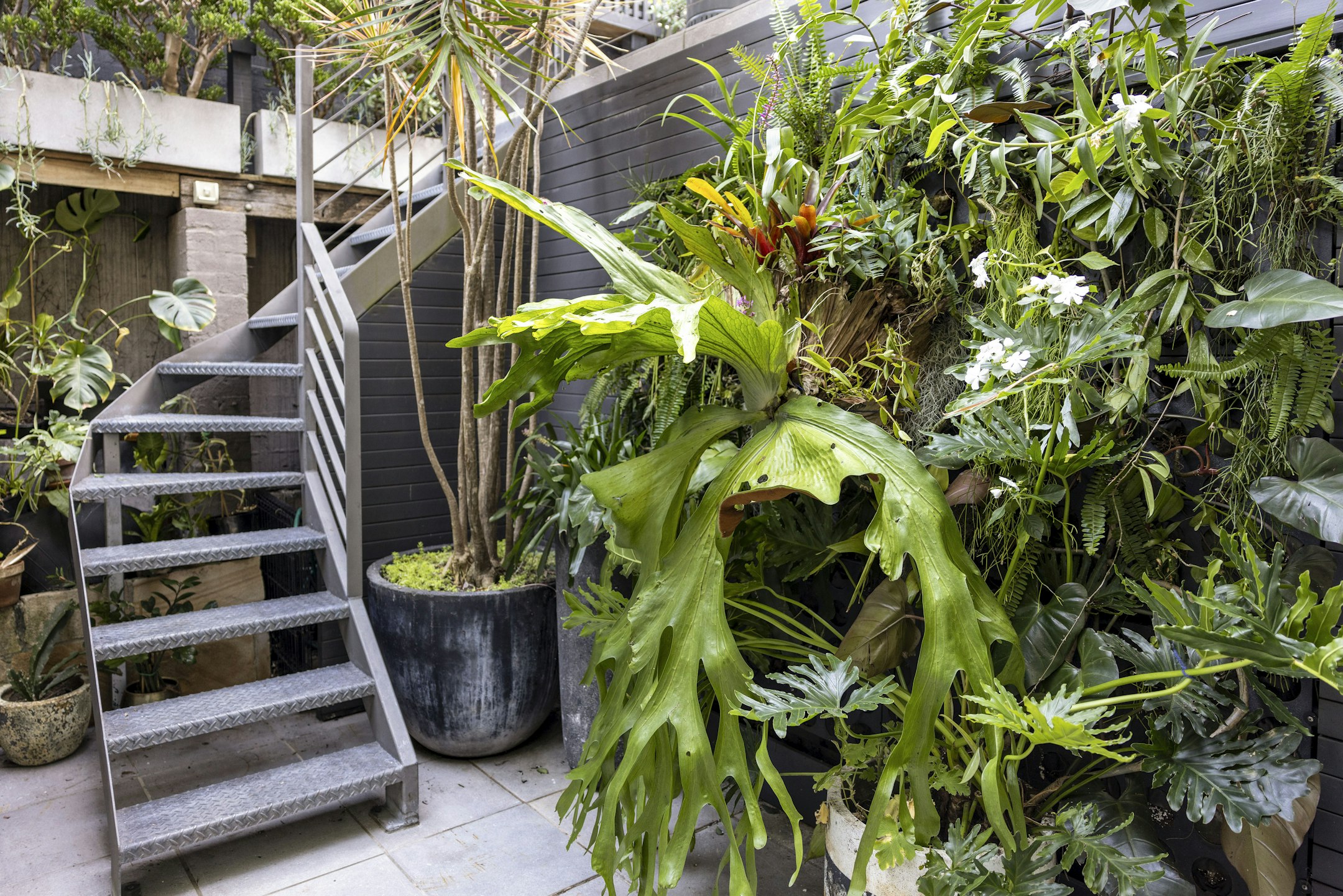 garden