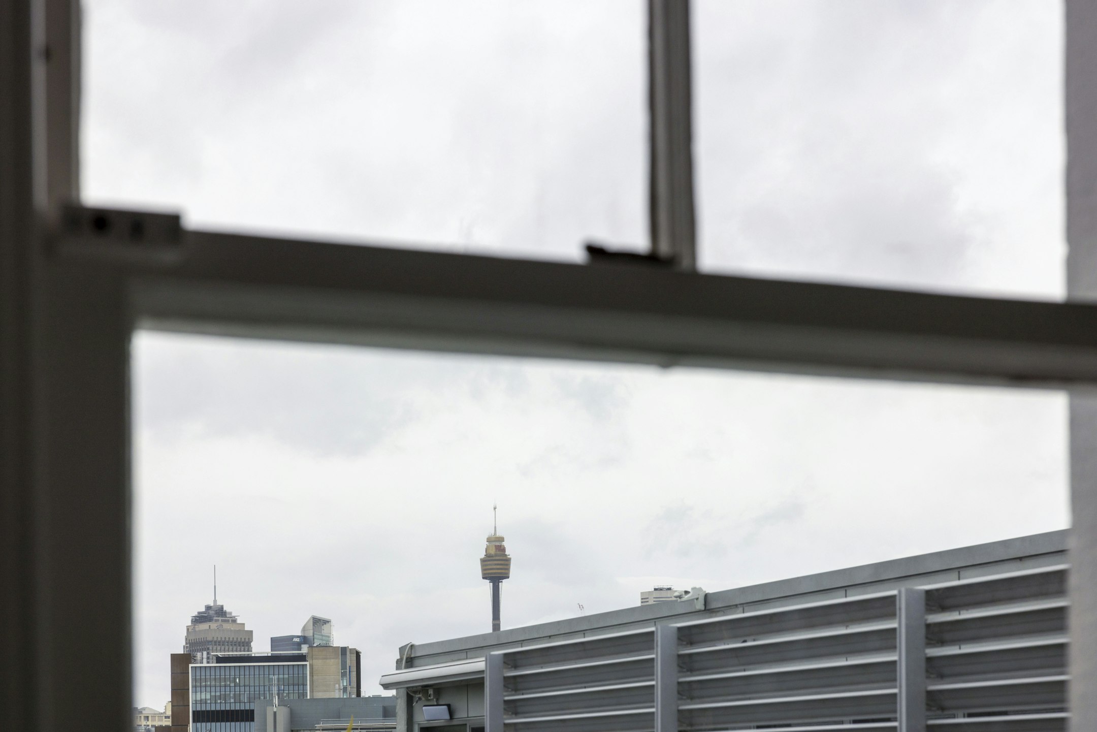 window