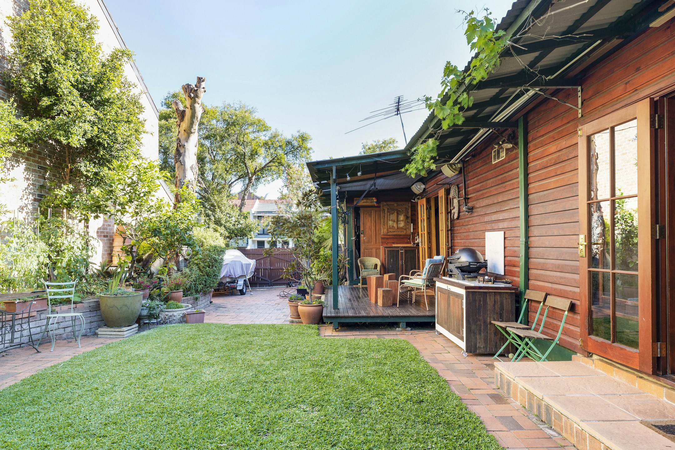backyard
