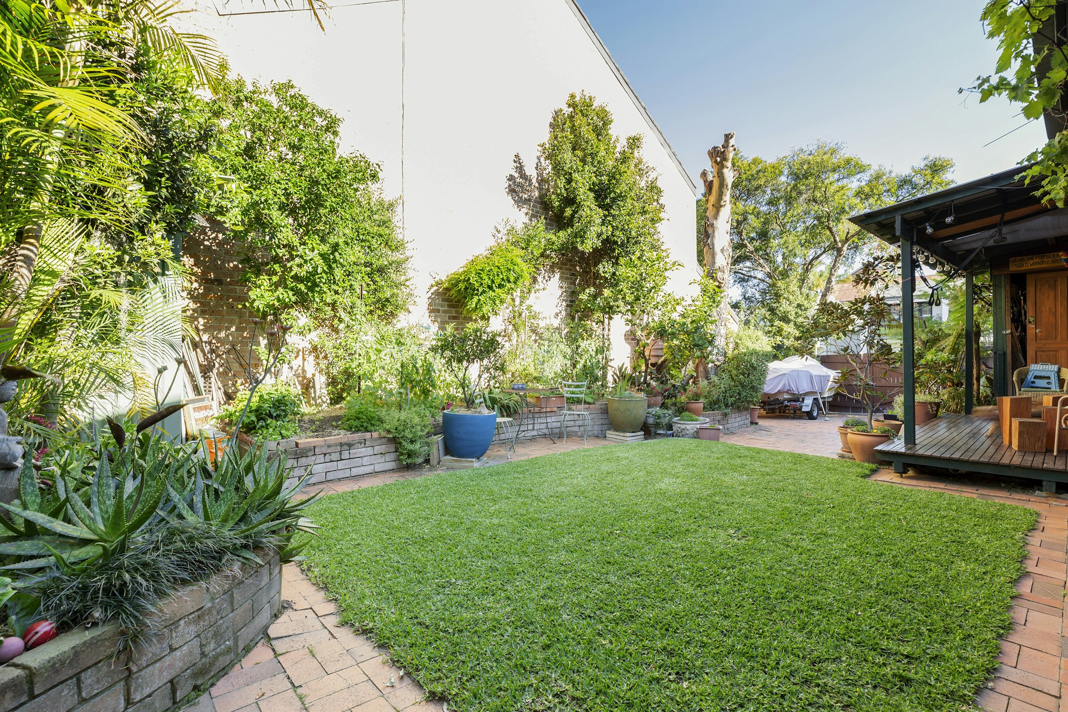 backyard