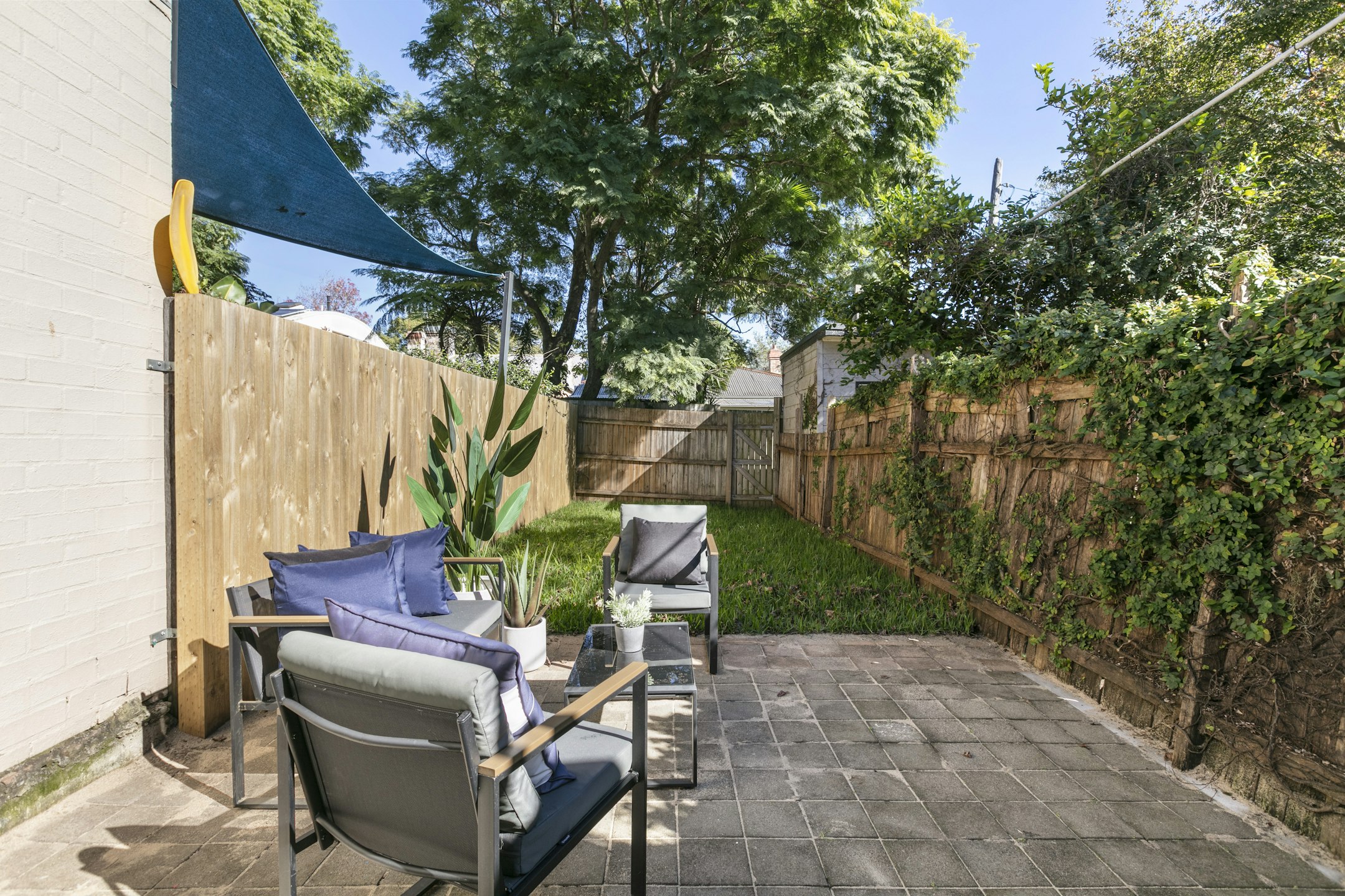 backyard