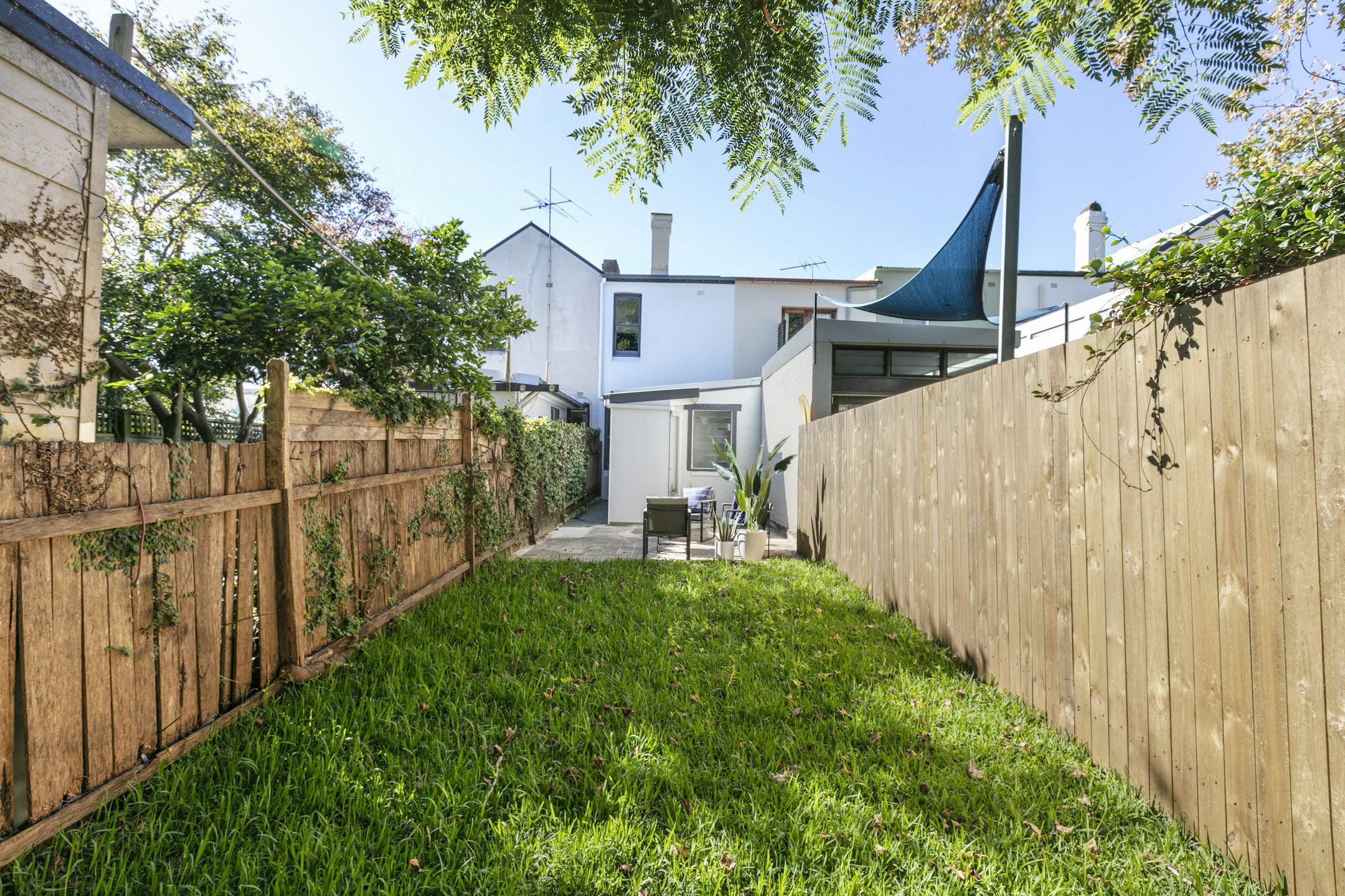 backyard