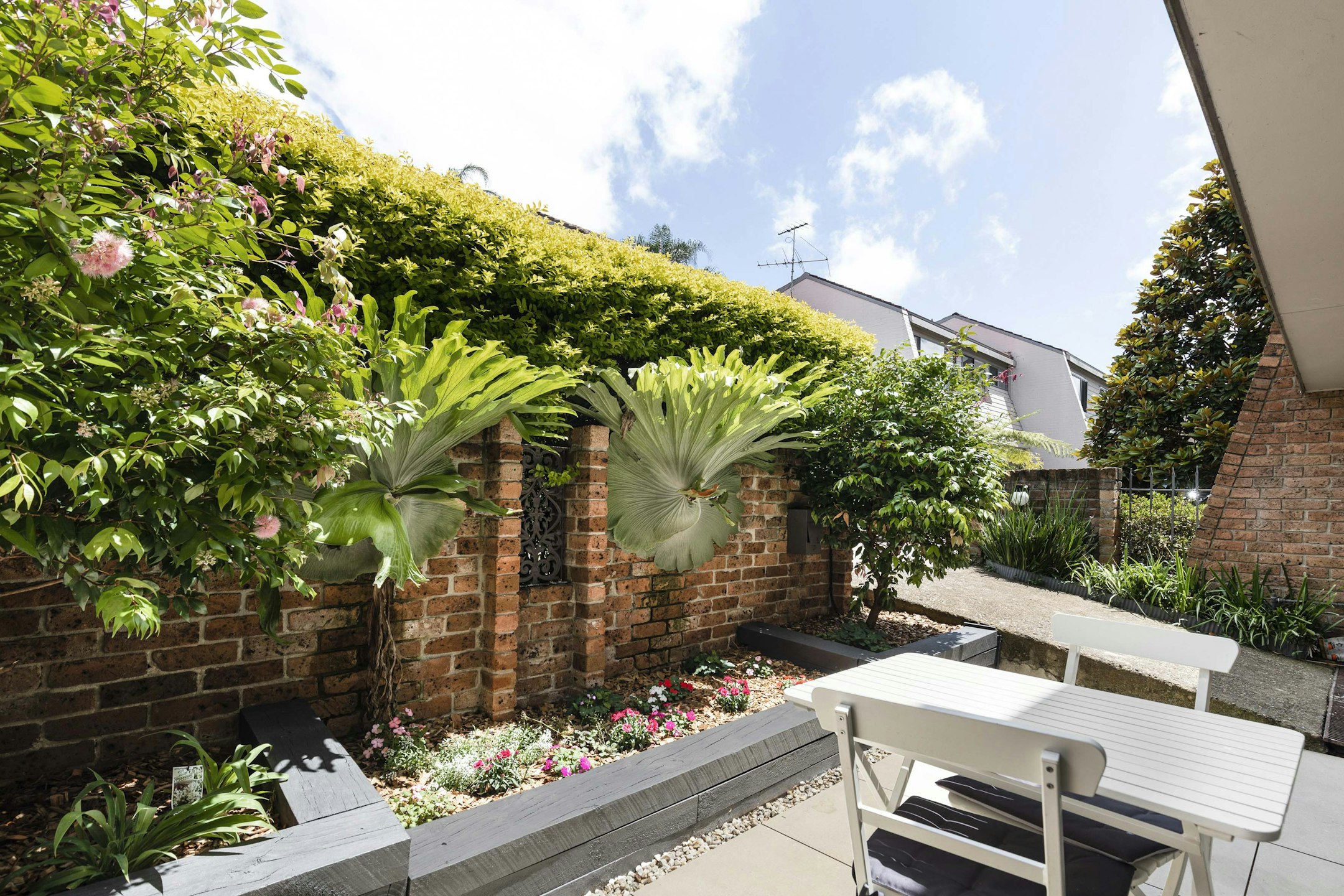 garden