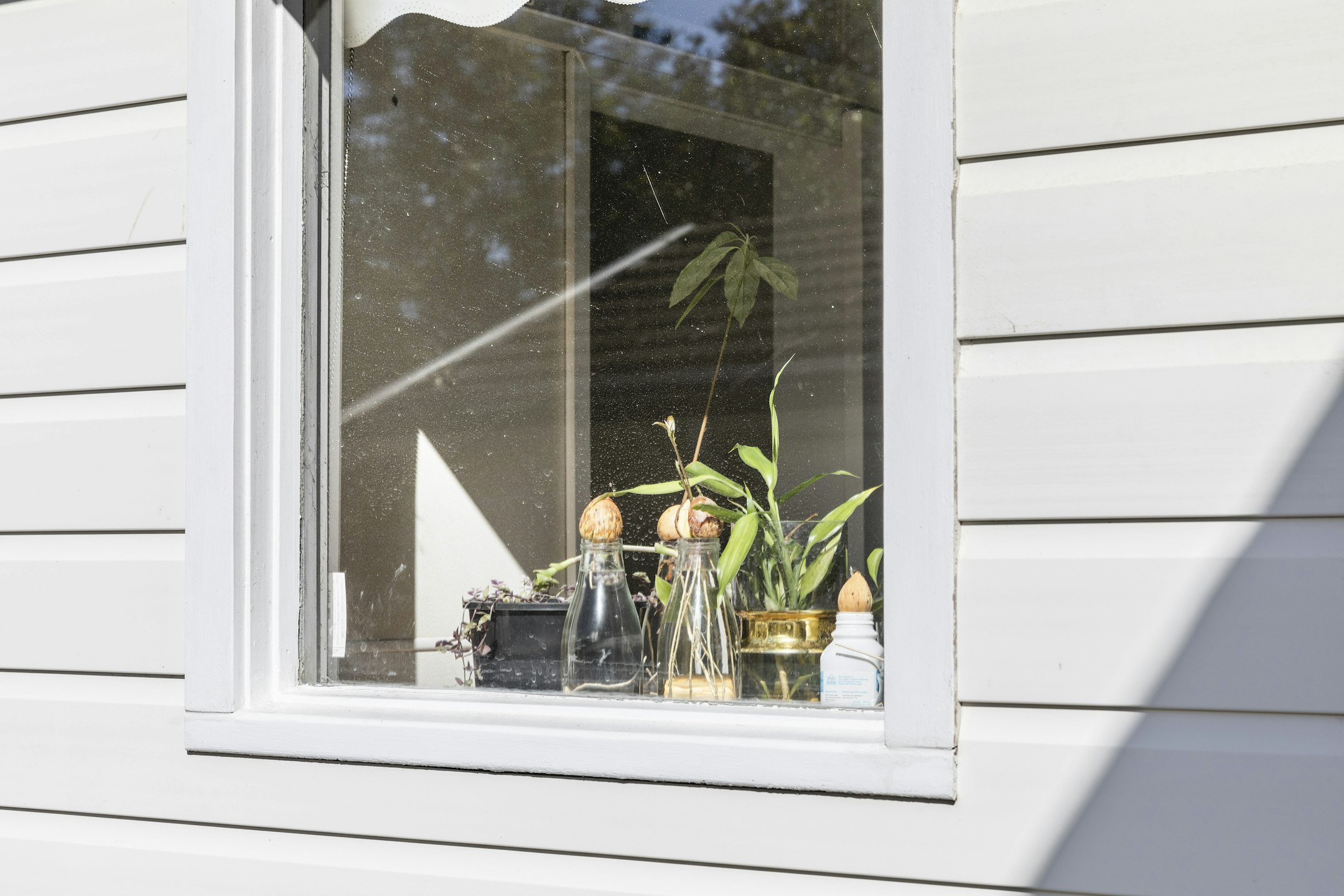window