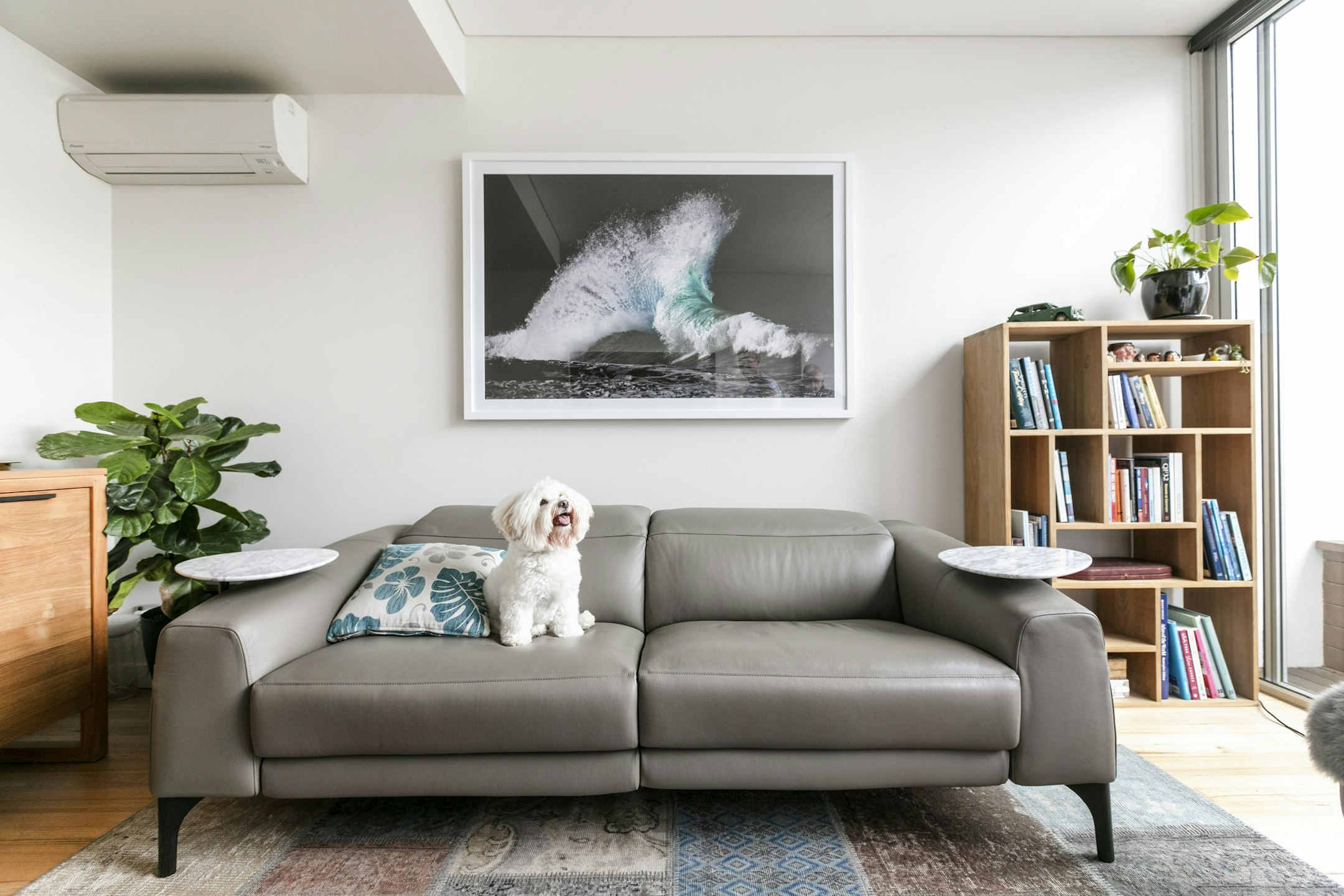 couch