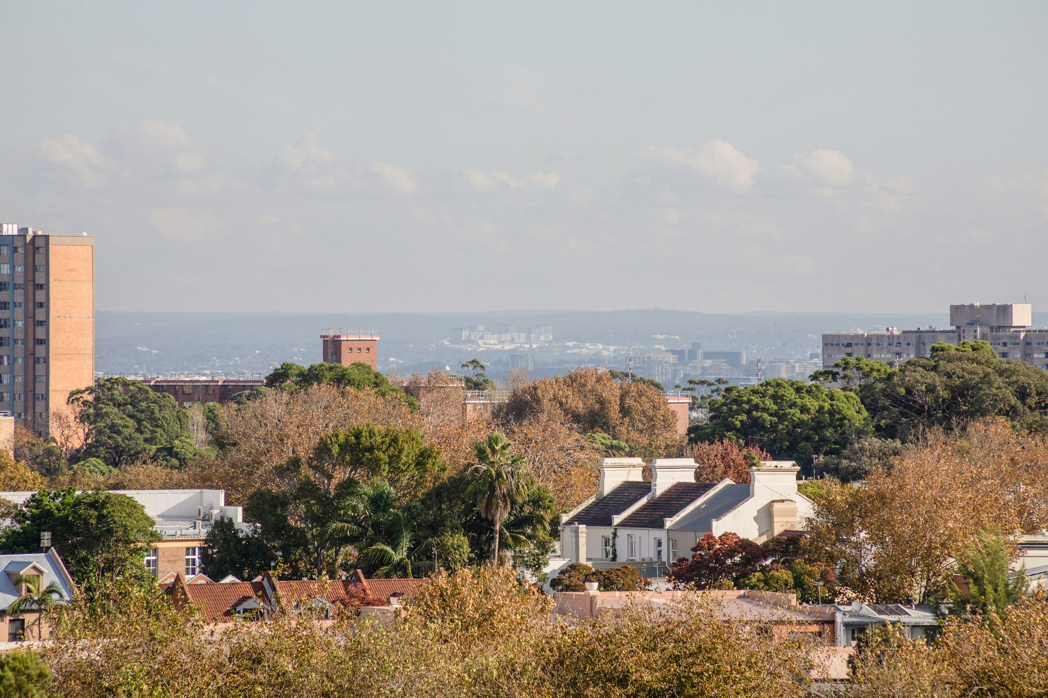 neighborhood
