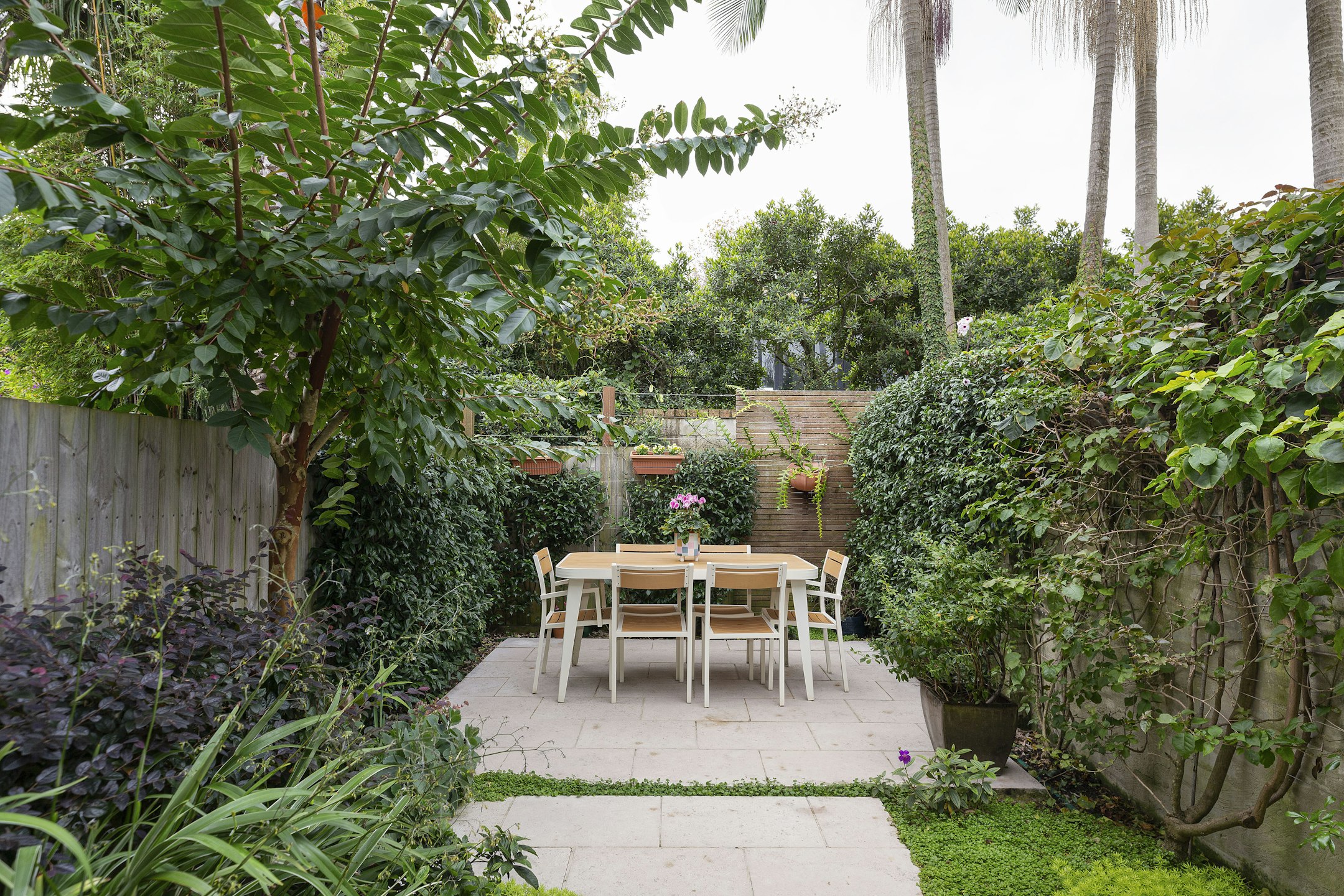 garden