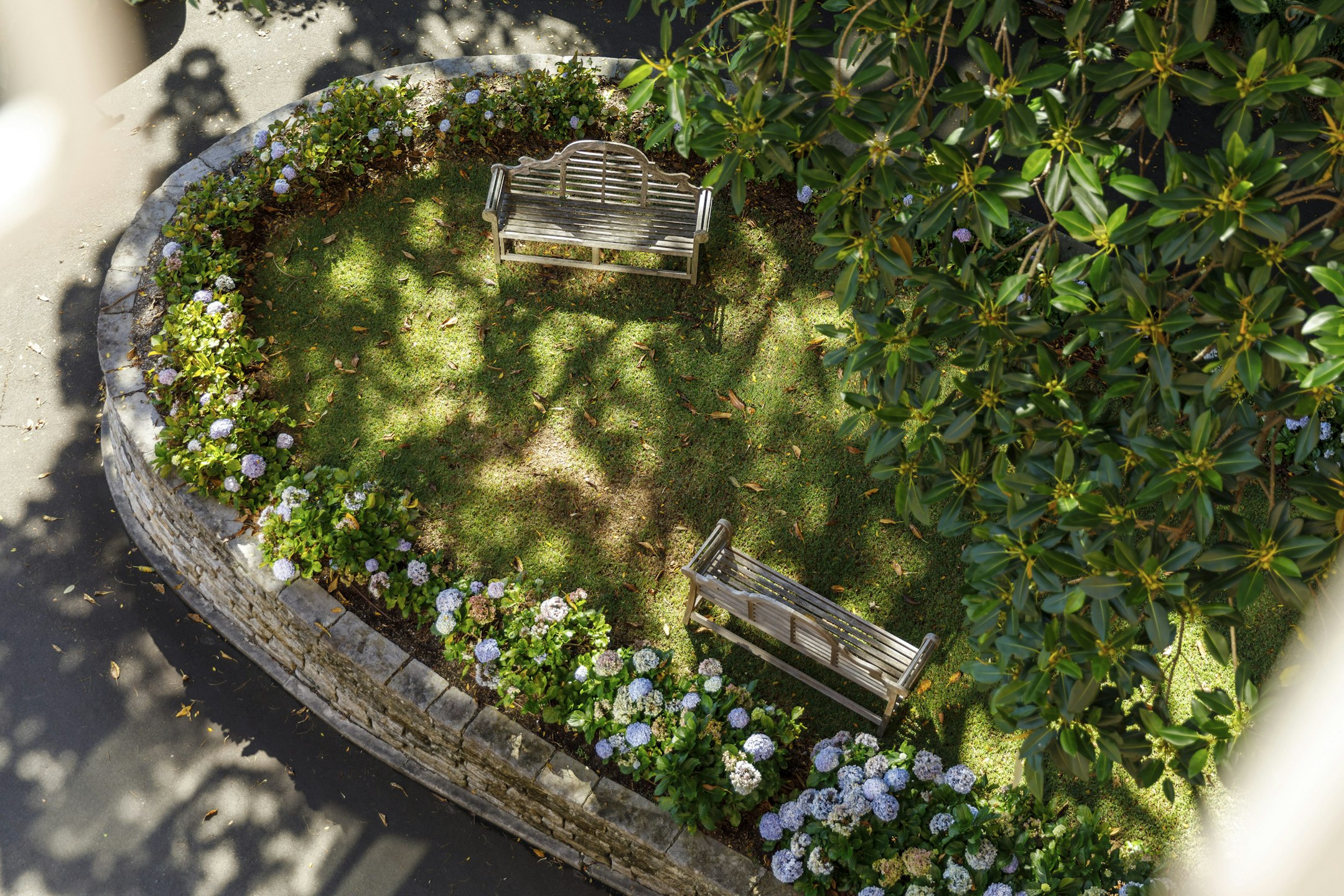 garden
