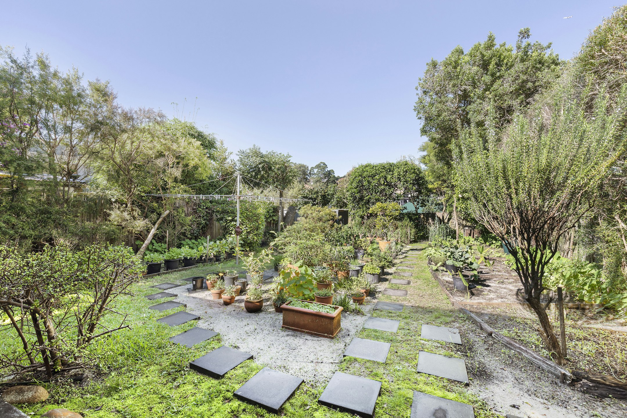 garden