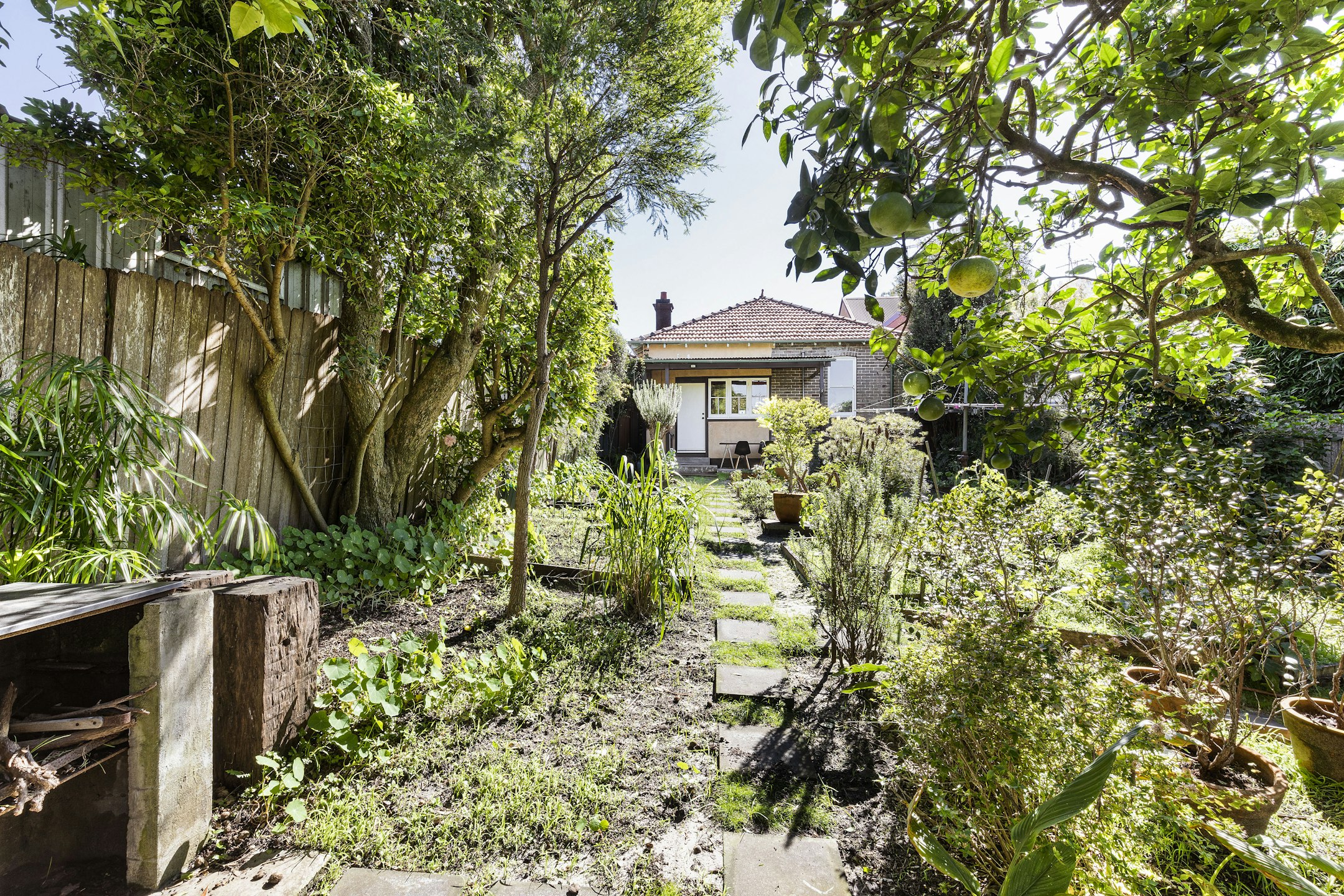 garden