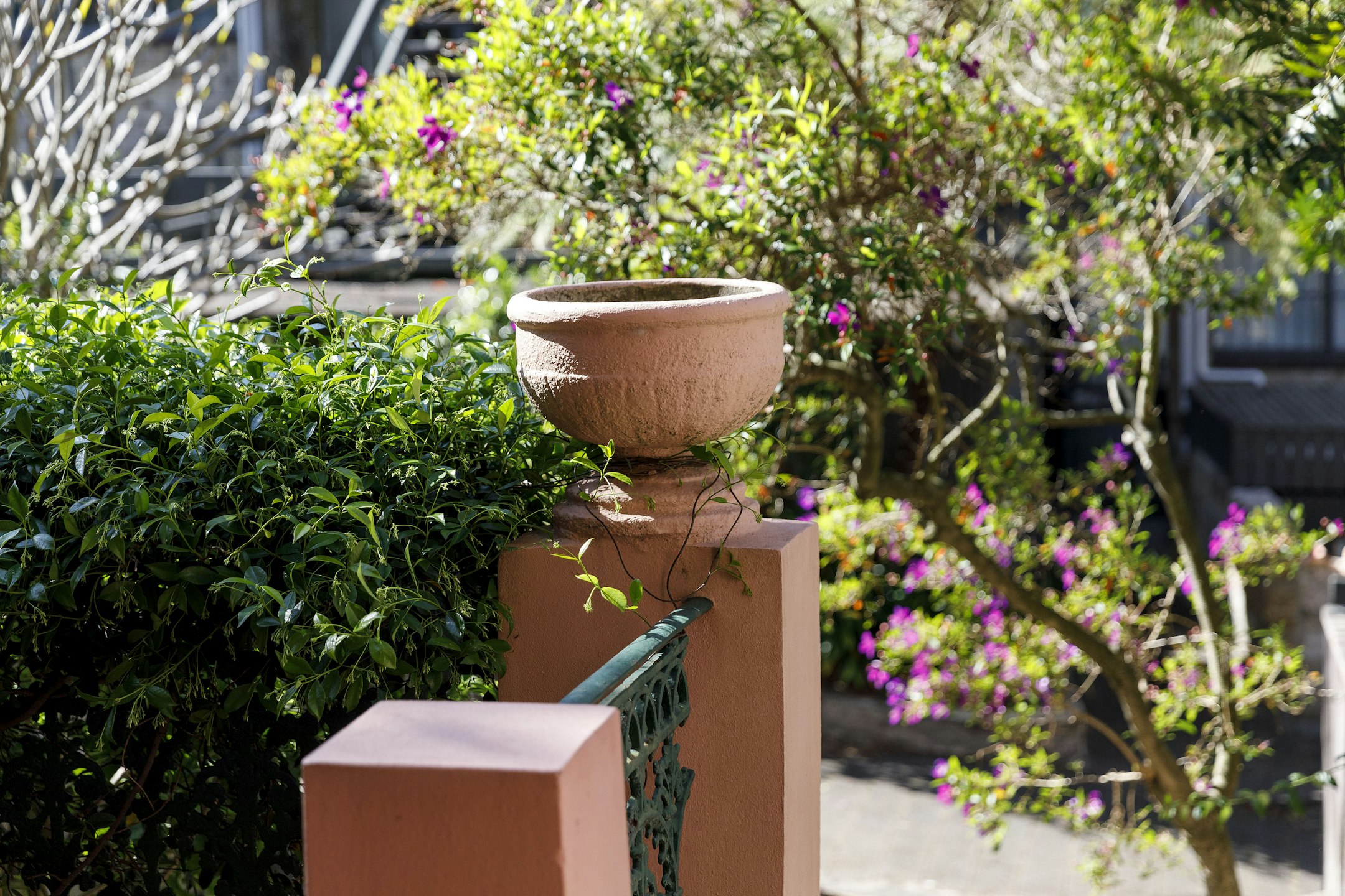 garden