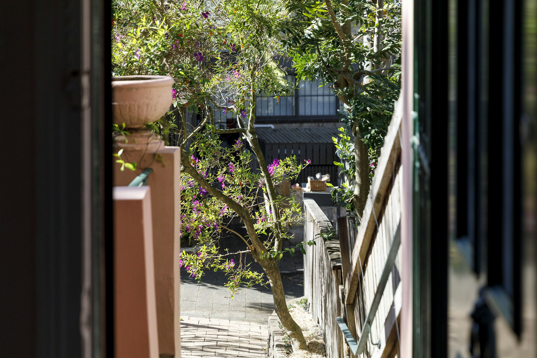 garden