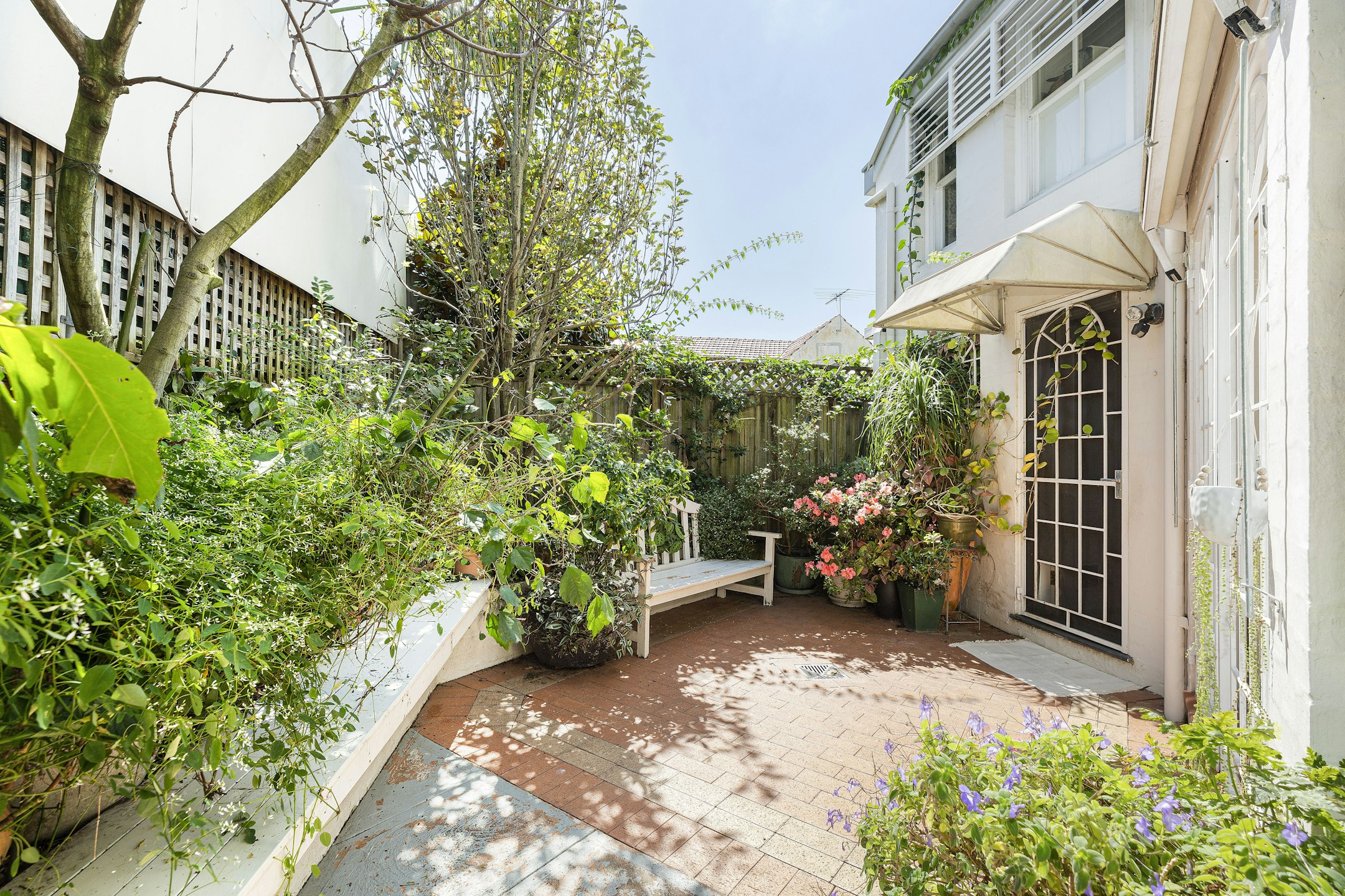 garden