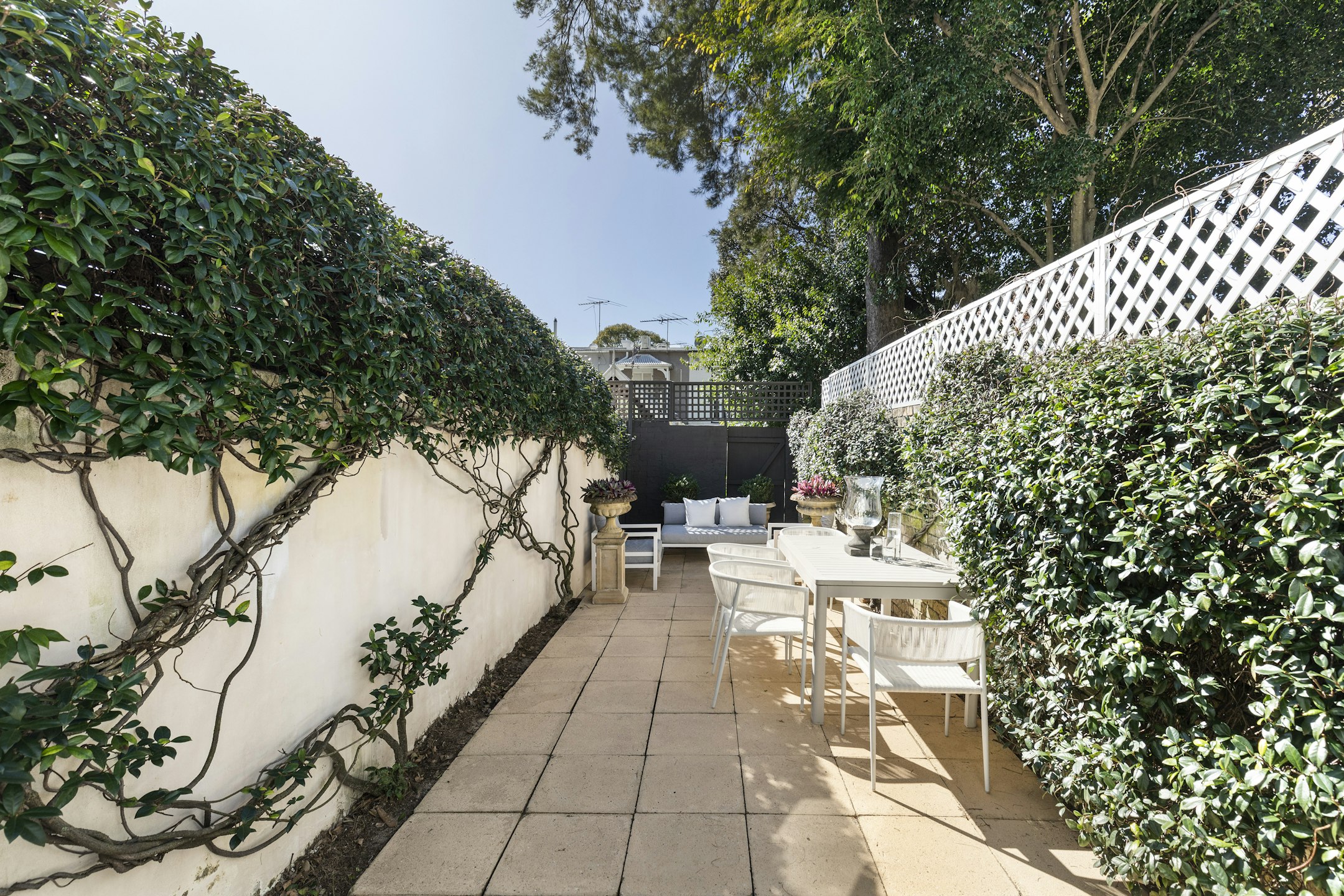 garden