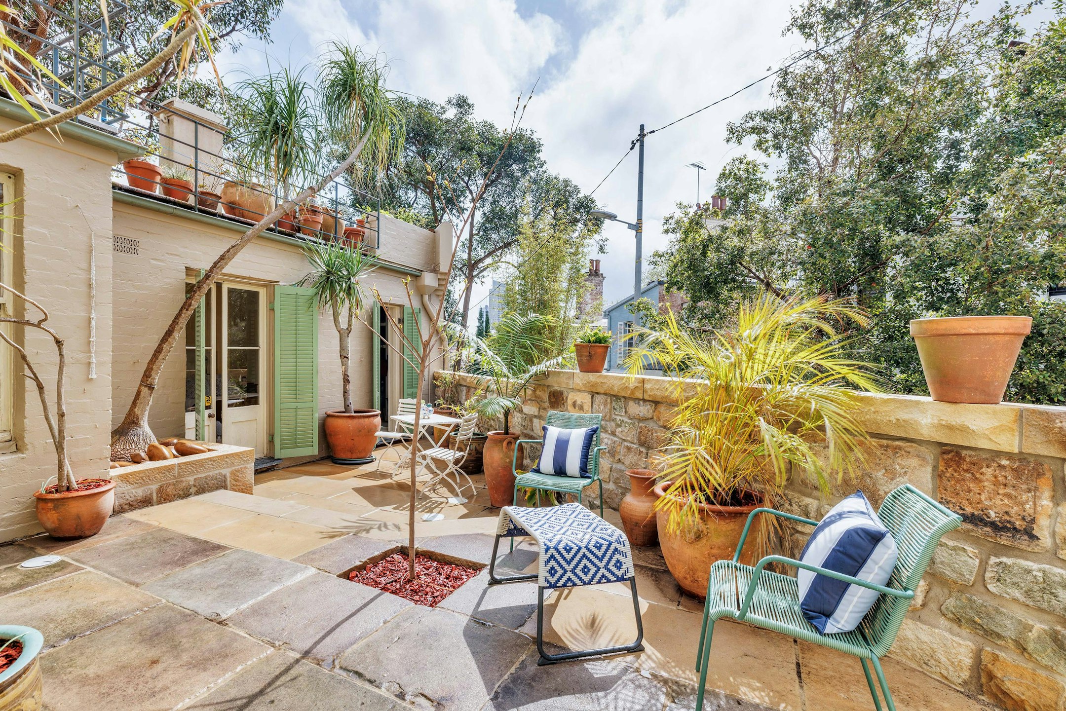 backyard