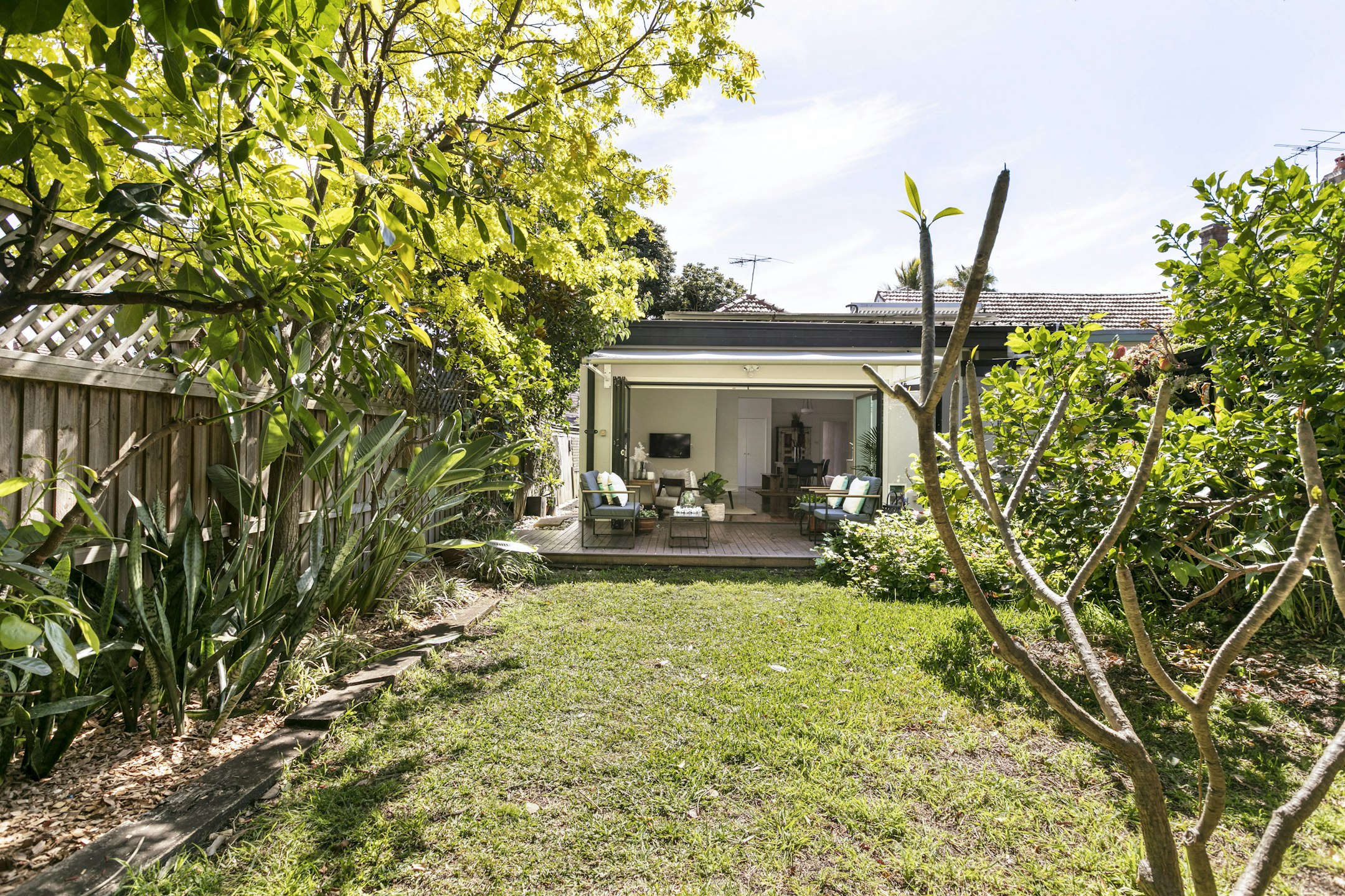 backyard