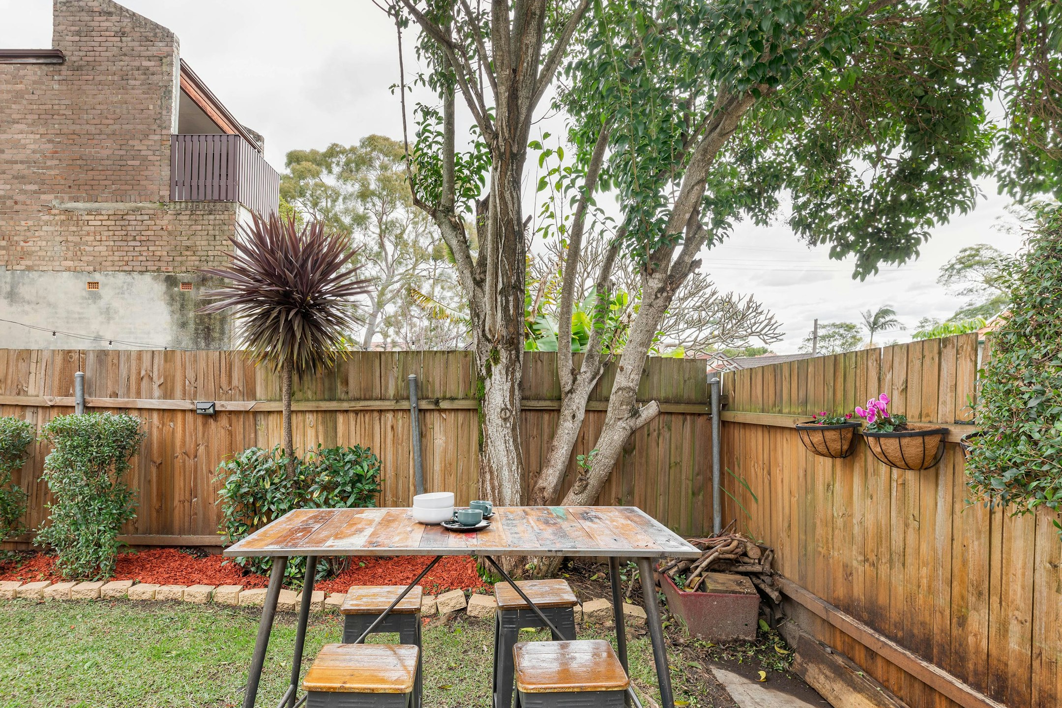 backyard