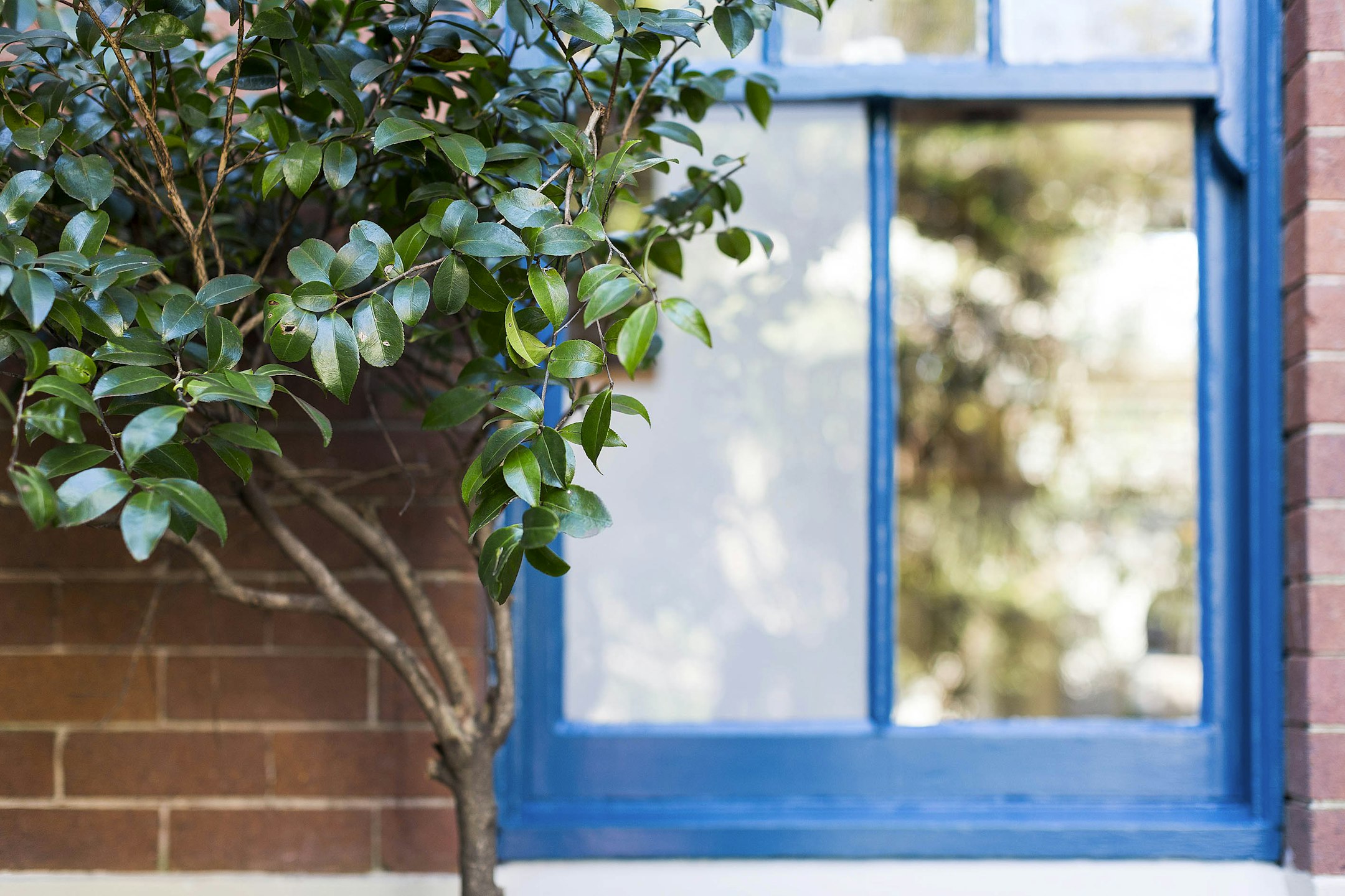 window