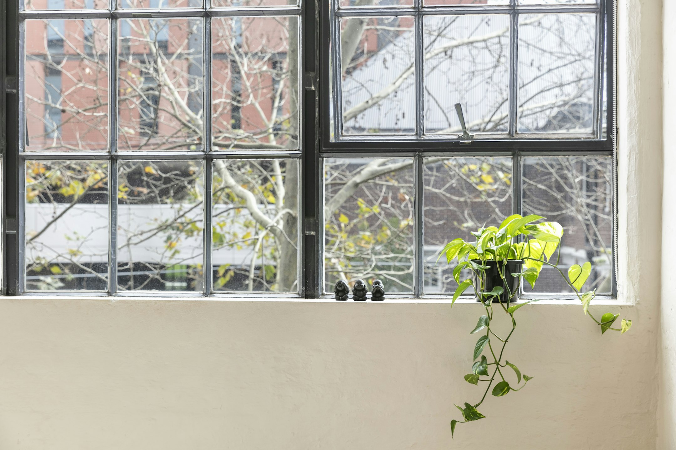 window
