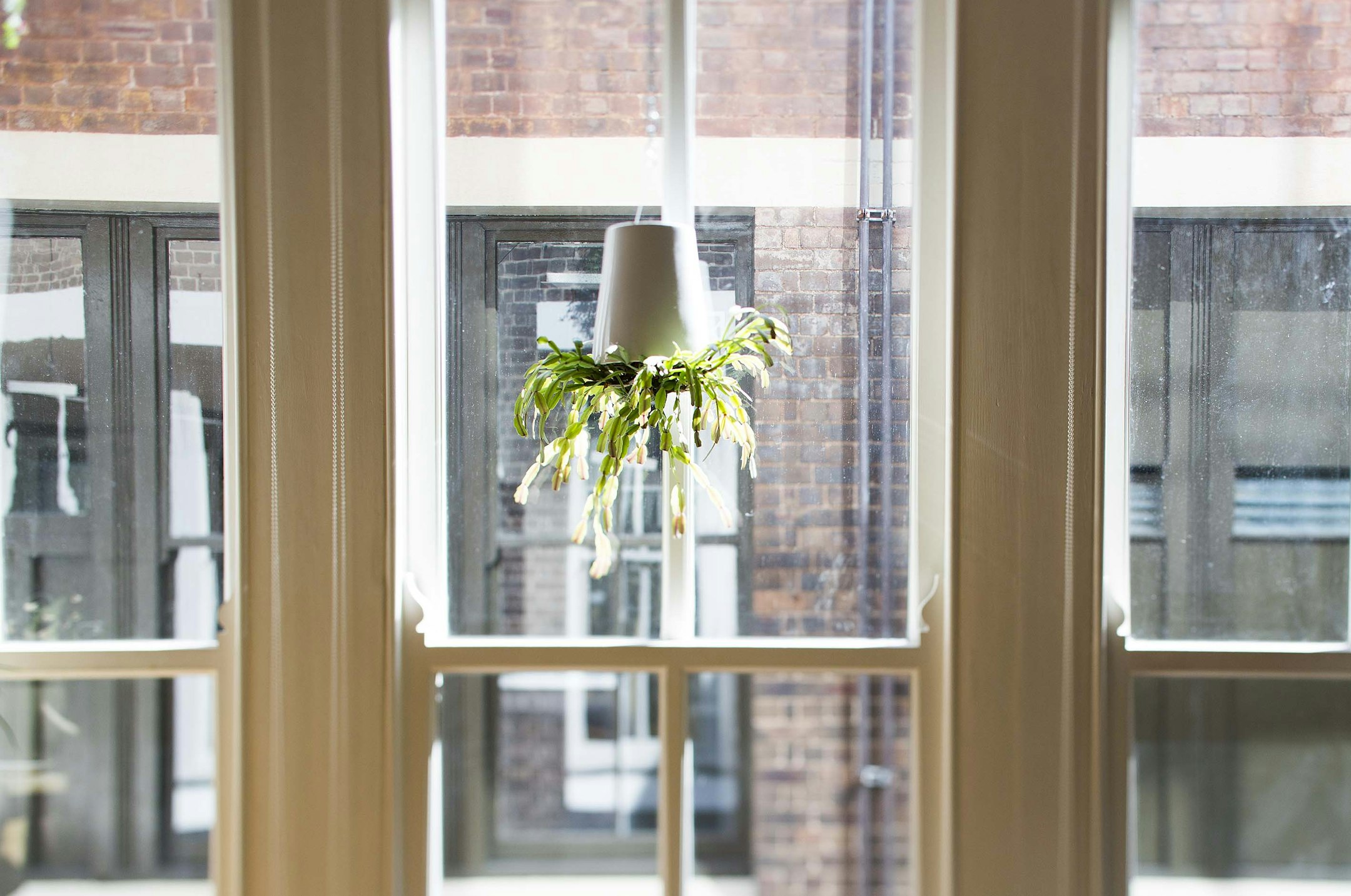 window