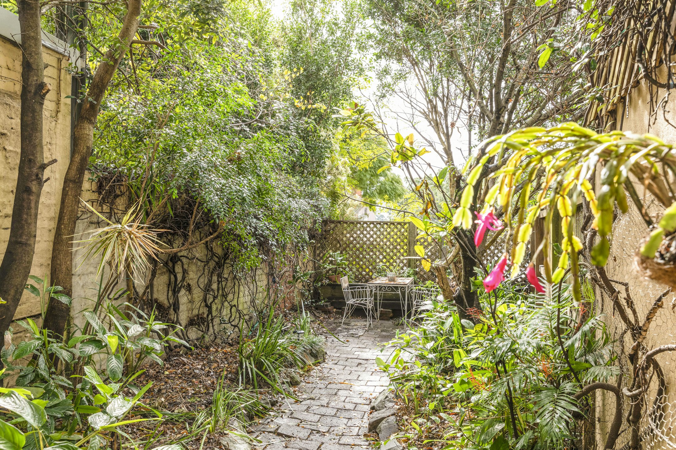 garden