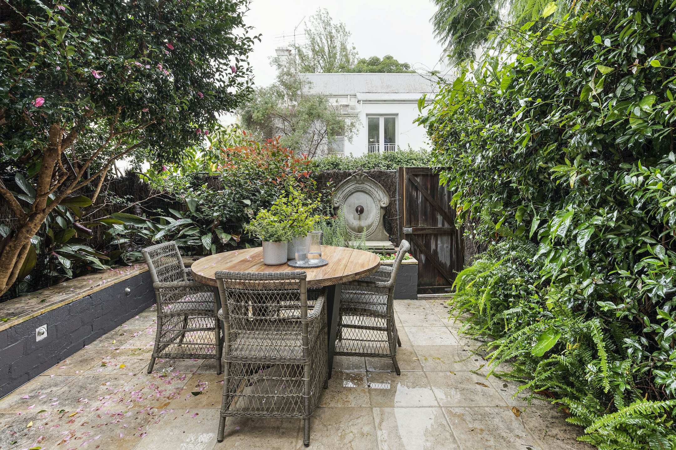 garden