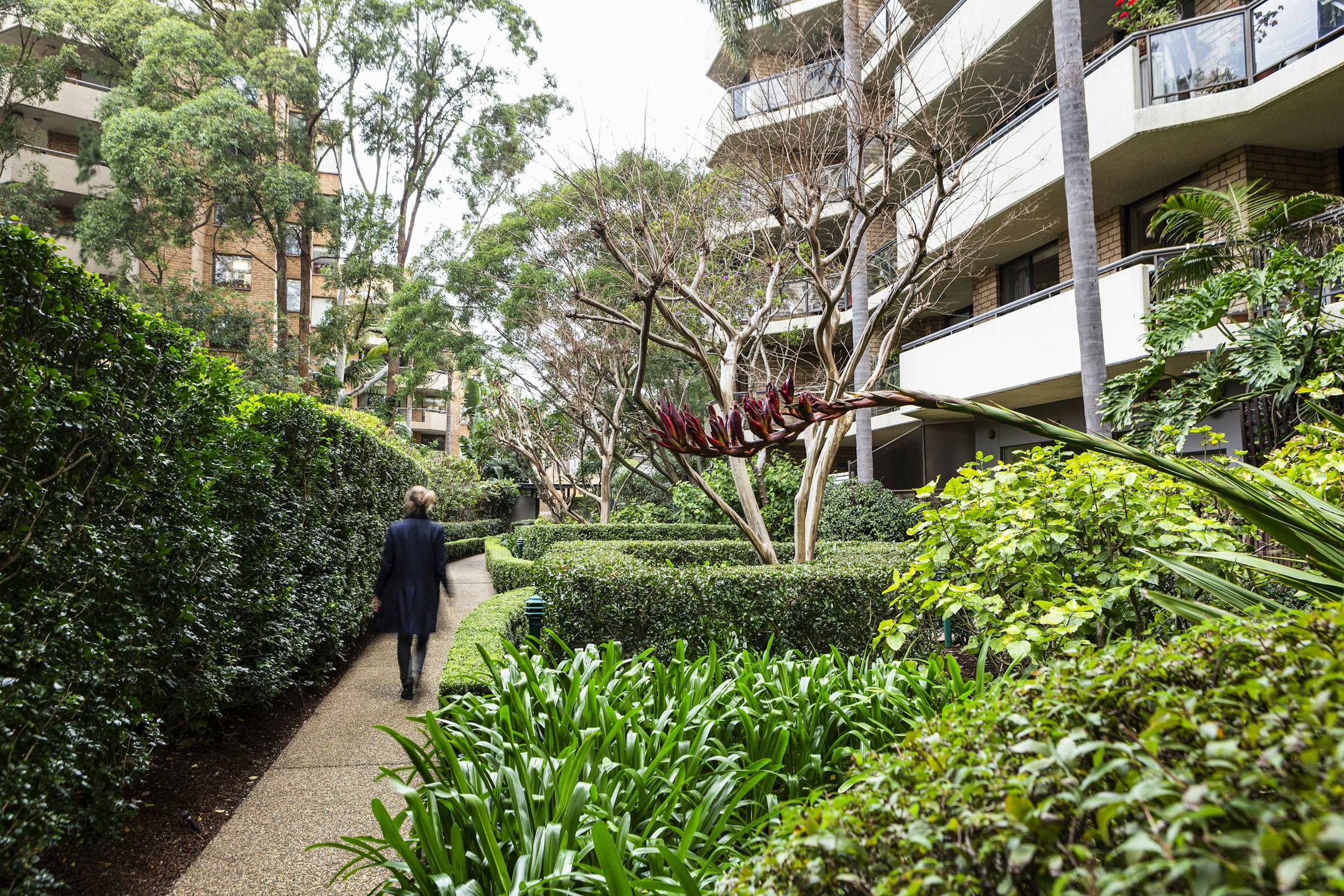 garden