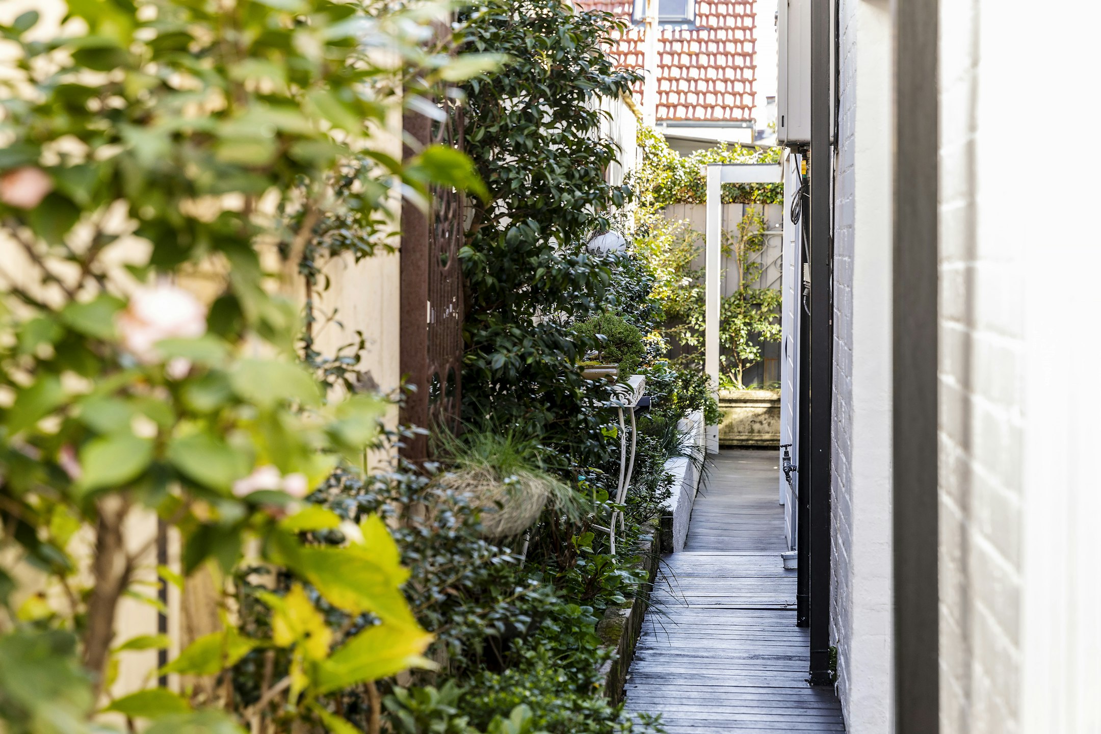 garden