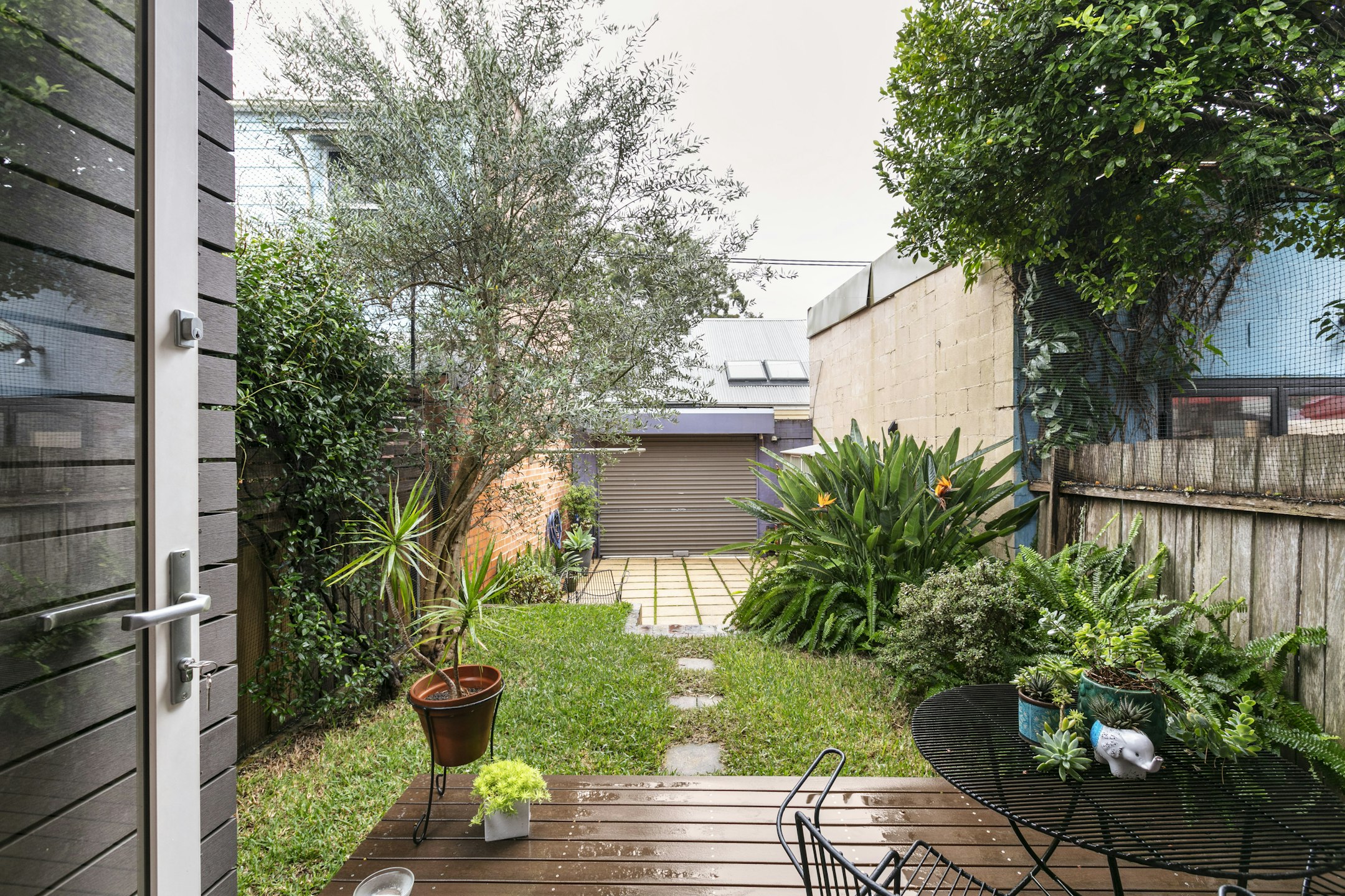 backyard